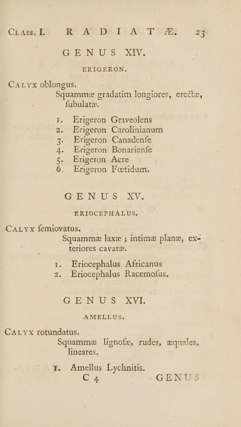 É CL f RT BASIIACTVZBÓ 24 CBE NUS AIV. ERIGERON. CArLvx oblongus. Squamm: gradatim longiores, erecte, fubulata. Erigeron Graveolens Erigeron Carolinianum Erigeron Canadenfe Ernigeron Bonarienfe Erngeron Acre Erigeron Feetidum. eno 8B GIBRMUS xv. *ERIOCEPHALUS. CArLYvx femiovatus. | Squammz laxe ; intime planz, ex- terlores cavata. 1. Eriocephalus Africanus 2. Eriocephalus Racemofus. OIENUS SXVL AMELLUS. CArLYvx rotundatus. Squammsz lignofe, rudes, equales, lineares. 1. Amellus Lychnitis. C 4 Um te GOHOINCUNS