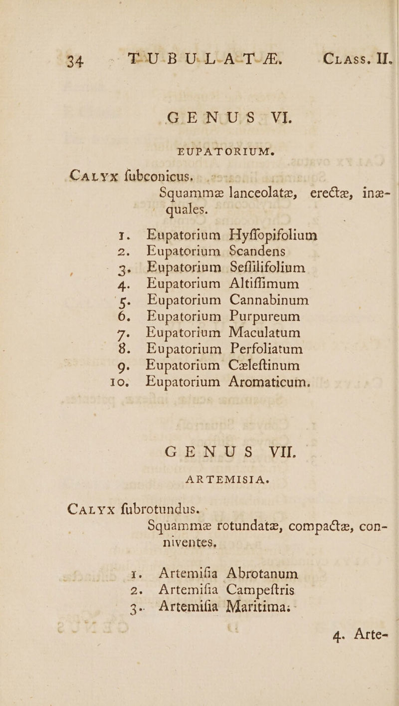 o3 . WAUIBAUJLUAETUAX — (inxss.I. GIEINUUVS 53 VI. EUPATORIUM. CArLvx fubconicus. | Squammz lanceolate, erect, inz- . quales. 1. Eupatorium Hyffopifolium 2. Eupatorium Scandens 3. Eupatorium Sefüilifolium 4. Eupatorium Altiffimum 5. Eupatorium Cannabinum 6. Eupatorium Purpureum 7. Eupatorium Maculatum 8. Eupatorium Perfoliatum 9. Eupatorium Celeftinum 10. Eupatorium Aromaticum. GENUS VII... ARTEMISIA. Carvx fubrotundus. Squammxe rotundate, compacte, con- niventes, 1. Artemifia Abrotanum 2. Artemifia Campeftris 3. Artemifia Maritima:-
