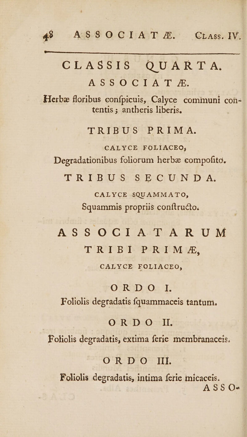49. AS980CIAT. Cras.IV. CUASEIS. SDUAR TA, Bo 2D COPA T 7E. Herbz floribus confpicuis, Calyce comiuni coü- tentis ; antheris liberis. TRIBUS PRIMA. CALYCE FOLIACEO,; Degradationibus foliorum herbe compofito. TRIBUS SECUNDA. CALYCE SQUAMMATO, Squammis propriis conftructo. ASSOCTIAXRA.R UM TRIBI PRIM 4, CALYCE FOLIACEO, ORDO IL Foliolis degradatis íquammaceis tantum. ORDO IL Foholis degradatis, extima ferie membranacets. O'R-D^O TIE Foliolis degradatis, intima ferie micaceis. | ASSO-