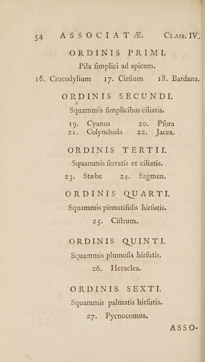 wu A65O0UCIATqUE CLASS ORDINIS PRIMI. Pila fimplici ad apicem. 16. Crocodylium — 17. Cirfium — 18. Bardana. ORDINIS SECUNDI. Squammis fimplicibus ciliatis. 19. Cyanus 20. WPíora 21. Colymbada 22. acea. ORDINIS TERTII Squammis ferratis et ciliatis. | 23. Stebe 24. Sagmen. ORDINIS QUARTI. Squammis pinnatifidis hirfutis. 25. Ciftrum. ORDINIS QUINTI. Squammis plumofis hirfutis. 26. Heraclea. OR IDEEN DO SIRAOGLI. Squammis palmatis hirfutis. 27. Pycnocomus.