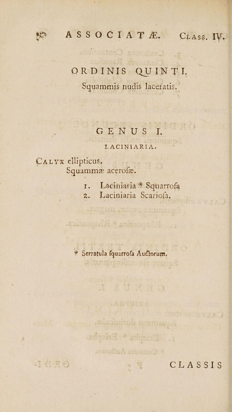 )!^ ASSOCIATE CiasIV. ORDINIS QUINTI. oquammis nudis lacetatis. GENUS I LACINIARIA. CALYx ellipticus. Squammma acerofz. I. Laciniatia * Squarrofa 2. Laciniaria Scarioía, id Serratula fquarrofa Auctorum, COSA INS