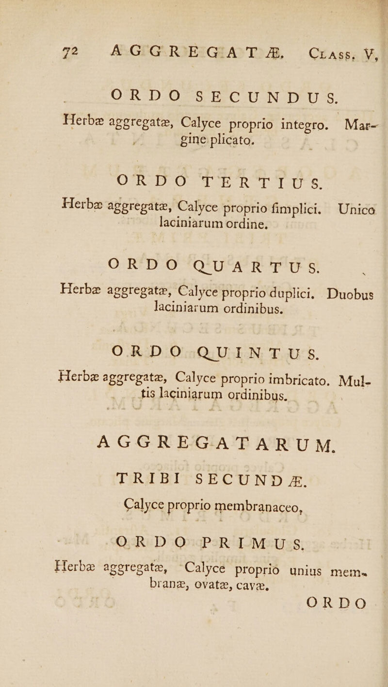 72 AKGGR'EGAT E Crasse, V, OW DOSC5EOUNTUS. Herbz aggregate, Calyce proprio integro. Mar- | gine plicato. | ORDO TERTIUS. Herbz aggregate, Calyce proprio fimplici. Unico .&amp; laciniarum ordine. ORDO Q'UAR SD Herbae ageregatz, Calyce proprio duplici, Duobus laciniarum ordinibus. ORDO QUINTU;S. Herbz aggregatz, Calyce proprio imbricato. Mul- tis laciniarum ordinibus. AGGREGATAR UM. TRIBI SECUND A. Calyce proprio membranaceo, ORDO PRIMUS. Herbe aggregate, ^ Calyce proprio unius mem. branz, ovatz, cava, ORDO