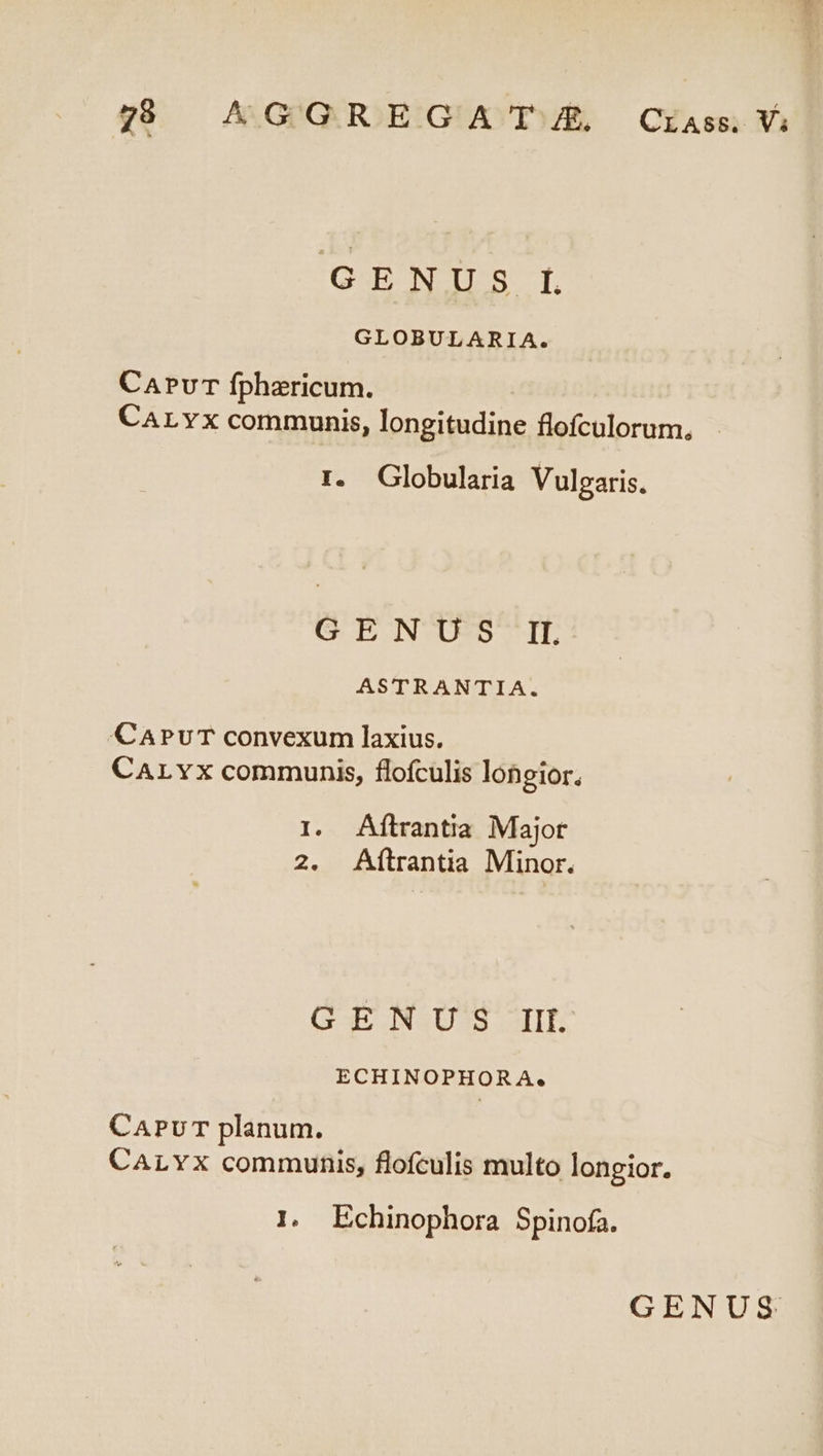 L4 728 ^GGREGA T. Crass. V; QW NUS t. GLOBULARIA. CaPvuT fphericum. CaLYx communis, longitudine flofculorum, - I. Globularia Vulgaris. G ENUS-IL ASTRANTIA. CAPuT convexum laxius. CALYx communis, flofculis lohgior. I. Aftrantia Major 2. Aftrantia Minor. ($35 N40 MITIS ECHINOPHORA. CAPUT planum. CALYX communis, flofculis multo longior. I. Echinophora Spinofa.