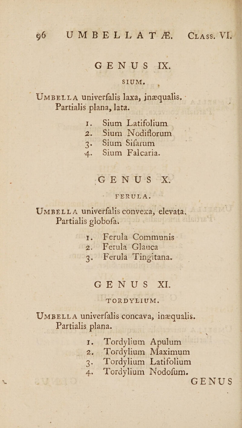 6 UMBEEZDLAÁA'FG GAsvE GENUS IX. SIUM, . UuMBzrLA univerfalis laxa, inzqualis. : Partialis plana, lata. 1. Sium Latifolium 2. Sium Nodiflorum 4. Sium Sifarum 4. sium Falcaria. (GE N'OS Sx FERULA. UMBELLA univerfalis convexa, elevata. Partialis globofa. 1. Ferula Communis 2. Fetrula Glauca 3. 'Ferula Tingitana. (GE SNUU SS MEXT TORDYLIUM. UnMazzrLLA univeríalis concava, inequalis. Partialis plana. I. Tordylium Apulum . 2. Tordylum Maximum 4. 'Tordylium Latifolium 4. ordylium INodofum.
