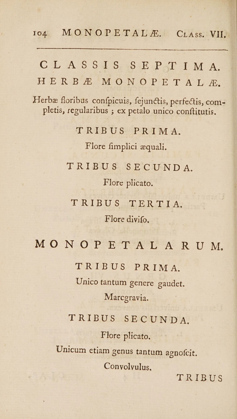 CIL A 5 SADS.SSXE.PauP T M A: HE RIJBUBSNMODUDOPME TAL Jm Herba floribus confpicuis, fejunctis, perfectis, com- pletis, regularibus ; ex petalo unico conftitutis. TRIBUS PRIM A. Flore fimplici zquali. TRIBUI S-/S E-CIUSN D A. Flore plicato. T R;LBIUOS ZELUS D IAS An Flore divifo. MO N-O'P^E^TP^N' DX RU M. ITSRADIB3JUSSA PARUM NDA: Unico tantum genere gaudet. Marcgravia. TRIBUS SECUNDA. Flore plicato. Unicum ctiam genus tantum agnofcit. Convolvulus. TRIBUS