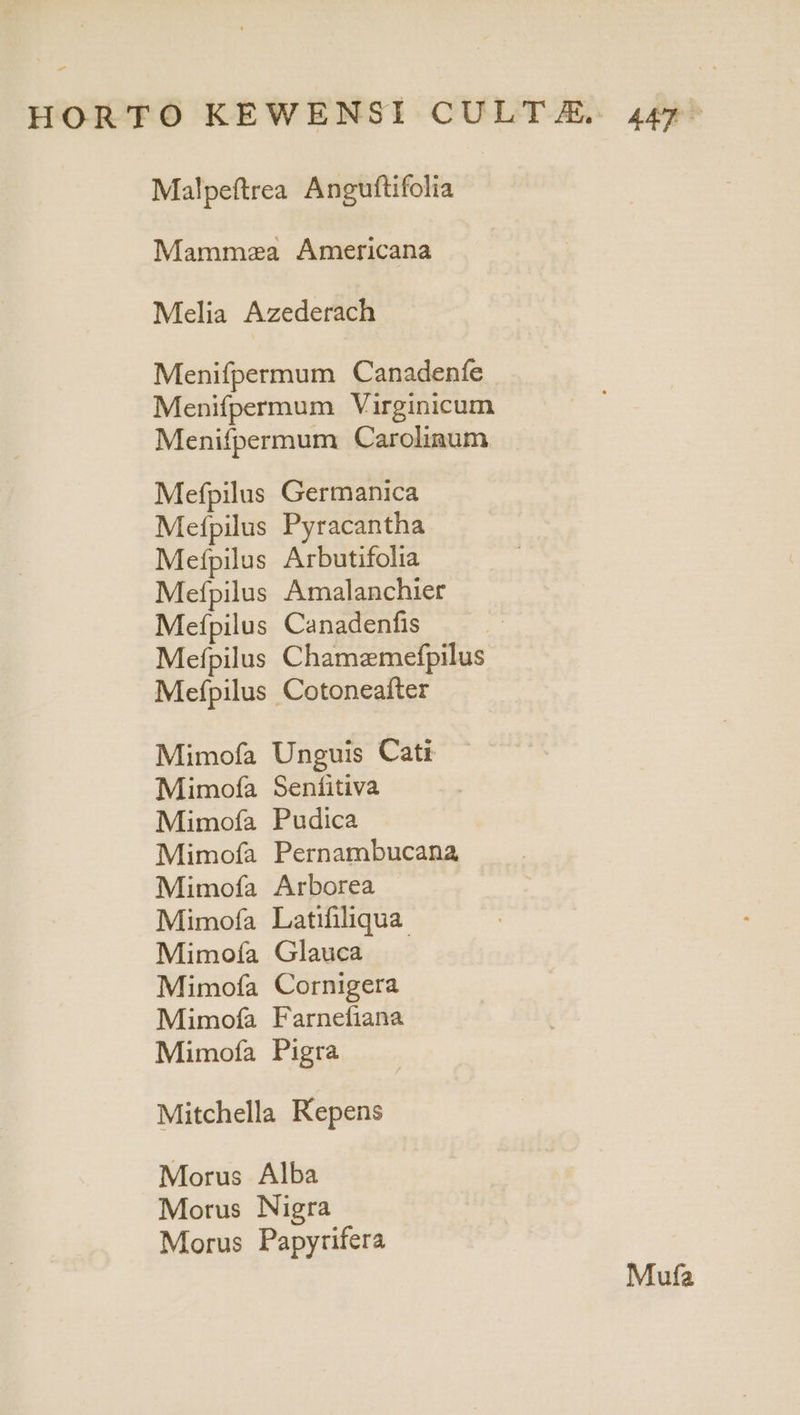 Malpeftrea Anguftifolia Mamma Americana Melia Azederach Menifpermum Canadenfe Menifpermum Virginicum Menifpermum Caroliaum Mefpilus Germanica Mefpilus Pyracantha Mefpilus Arbutifolia Mefpilus Amalanchier Mefpilus Canadenfis Mefpilus Chamzmefpilus Mefpilus Cotoneafter Mimofa Unguis Cati Mimofía Senfitiva Mimofía Pudica Mimofa Pernambucana Mimofa Arborea Mimofía Latifiliqua Mimoía Glauca Mimofa Cornigera Mimofía Farnefiana Mimofa Pigra Mitchella Repens Morus Alba Morus Nigra Morus Papyrifera Mufa