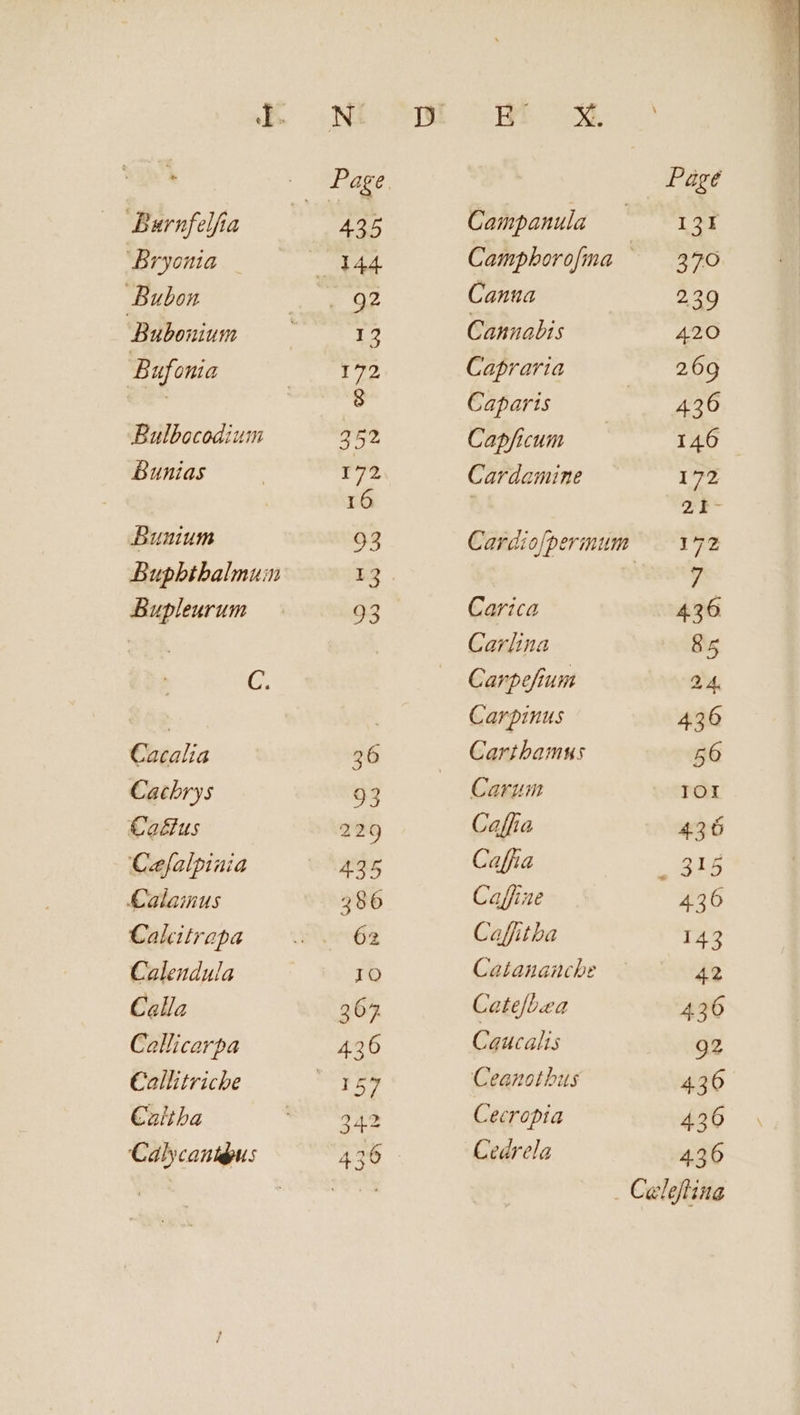 Ld — Burnfelfia Bryonia Bubon Bubouium Bufonia Bulbocodium Bunias ADunmnum Bupbtbalmuin Bupleurum C. Cacalia Cacbhrys Ca£us Celalpiaia Kalamus Calatrapa Calendula Calla Callicarpa Callitricbe Caltba Calycaniépus P 16 93 93 326 93 229 435 356 62 IO 367 436 342 HE Campanula Canua Cannabis Capraria Caparis Capficum Cardamine Carica Carlina Carpeftum Carpinus Cartbamuws Carum Caffia Caffia Caffize Caffitba Catanancbhe Cat efbea Caucalis Ceanotbus Ceeropia Cedrela 436