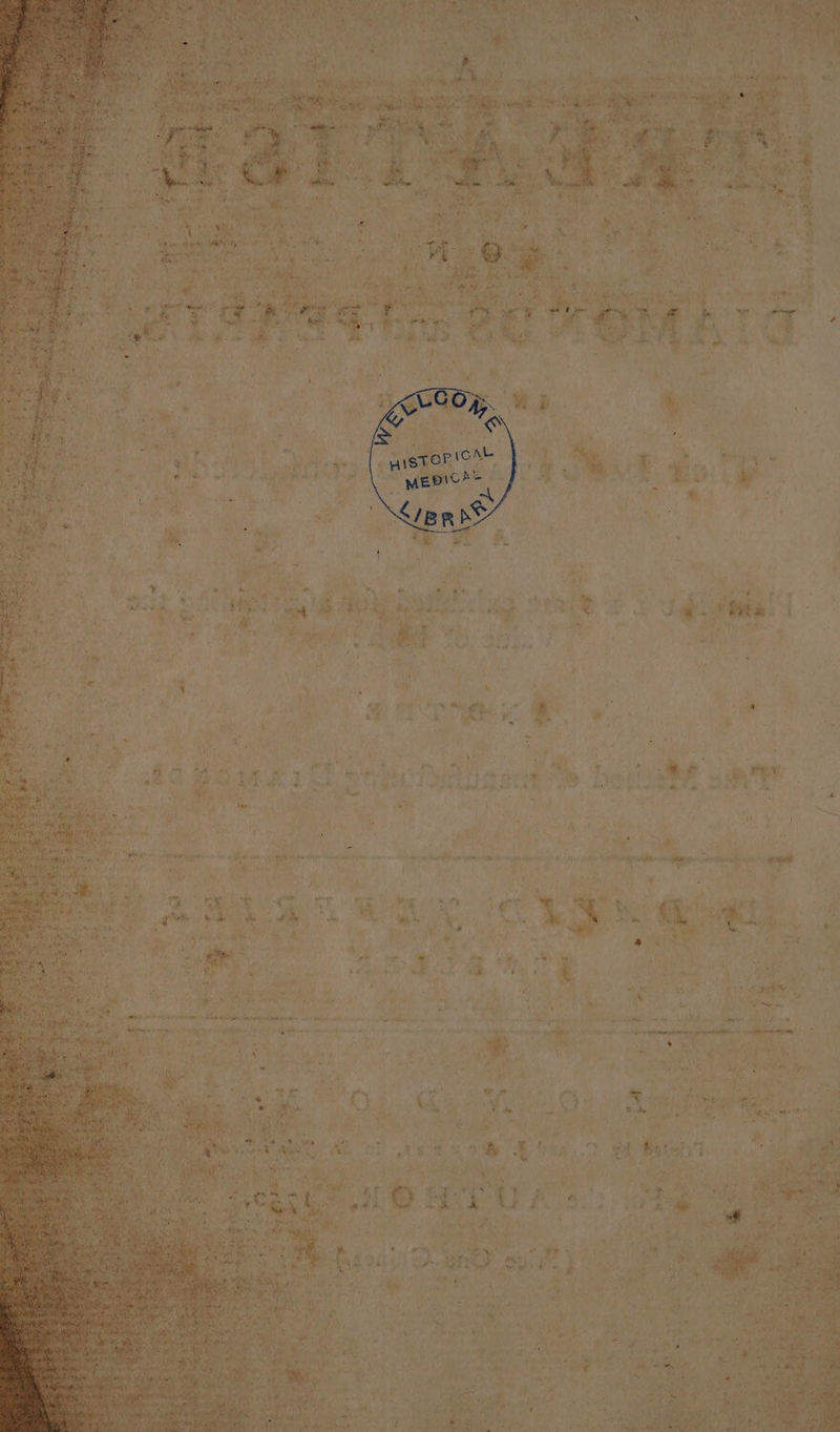 NaC oe aa i a RUN dy) bik ol MRI eat. my a bt) Y oP Pp eteiypbets 2 ela pork cee SNe ved a bt hp oaeny ih hin hi sine tacking tk yee big