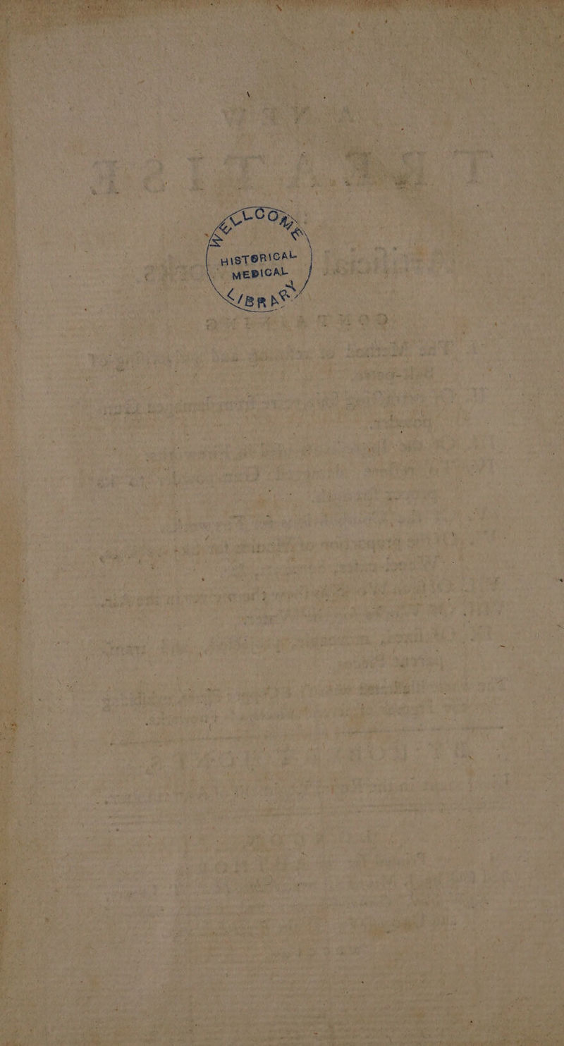 sb hesi Rye ‘seule Fy smi br v ti a feet Ha ee ¢ * r \s ” hienpanen f a Paoae is r gen ie ae » Ya pei, tal Wea ery apathy ale Fr ‘ ni a ih elie fathers ae