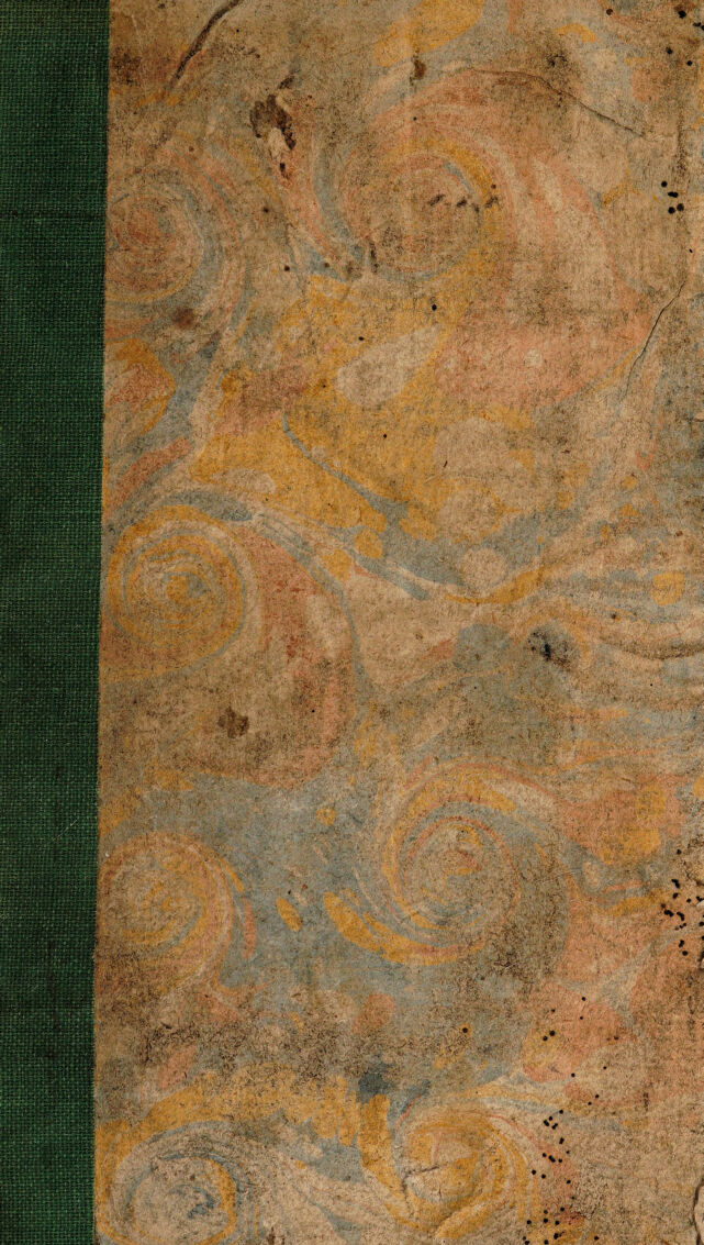 No text description is available for this image