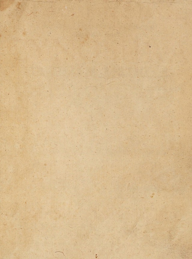 digitised image 3