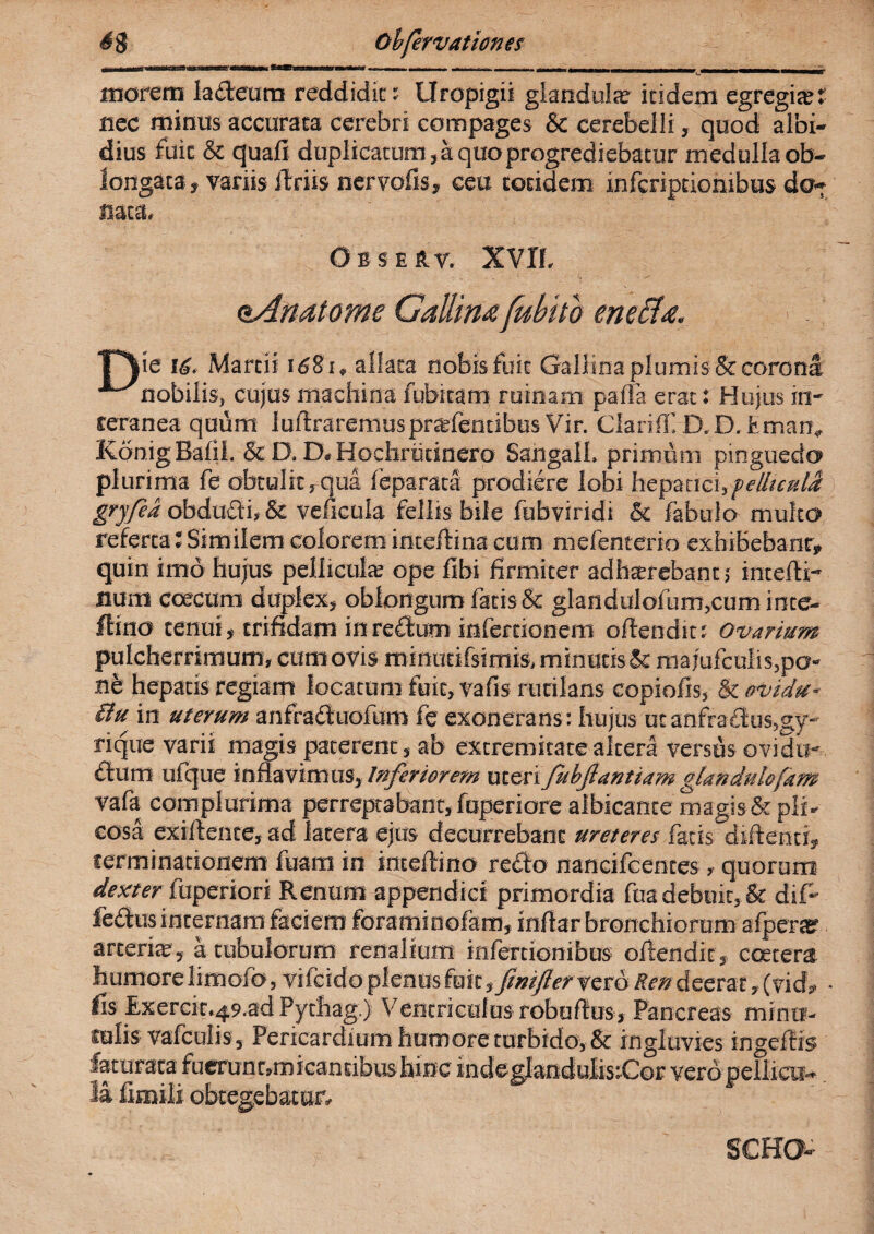 morem Ja&eara reddidit: Uropigii glandulae itidem egregiae? nec minus accurata cerebri compages & cerebelli, quod albi¬ dius fuit & quali duplicatum, a quo progrediebatur medulla ob¬ longata, vanis ftriis ner volis, ceu totidem infcriptiombus do- nata. obseav. xvrr. oAnatome Cdllmfubito eneBa. T*^ie 16. Martii 1681, allata nobis fuit Gallina plumis & corona ■“-^nobilis, cujus machina fubitam ruinam palla erat: Hujus in¬ teranea quum luftraremuspradentibus Vir. Clariff, D. D. tman, Konig Balii. &D. D.Hochrikinero Sangall. primum pinguedo plurima fe obtulit,qua feparata prodiere lobi hepatici,felltculd gryfea obdudi, & veficula fellis bile fubviridi & fabulo multo referta:Similem colorem inteftina cum mefenterio exhibebant, quin imo hujus pellicula; ope libi firmiter adhaerebant; intefti- Buai coecura diylex, oblongum fatis & glandulolum,cum inte- Aino tenui, trifidam inre&um infertionem offendit: Ovarium pulcherrimum, cum ovis roinutifsimis, minutis & majufculis,po¬ ne hepatis regiam locatum fuit, vafis rutilans copiofis, & avidu* liu in uterum anfraduofum fe exonerans: hujus utanfrafius,gy¬ rique varii magis paterent, ab extremitate altera versus ovidu- dui« ufque inflavimus, Inferiorem uteri fubfiantiam glandulafam vafa complurima perreptabant,fuperiore albicante magis&pli- cosa exiftente, ad latera ejus decurrebant ureteres fatis diftenti, terminationem fuam in inteftino redo nancifcentes, quorum dexter liiperiori Renum appendici primordia fua debuit, & dif- fedus internam faciem foraminofam, inflar bronchiorum afpersr arteria?, a tubulorum renalium infertionibus oftendit , ccetera humorelitnofo,vifcidoplenosftiit,/*^rver6i?r#deerat,(vid» • fis Exerck.49.ad Pythag.) Ventriculus robuftus, Pancreas minu¬ tulis vafcolis. Pericardium humoreturbido,& ingluvies ingeftis faturata fuerunt,m icantibusbinc indeglandulistCor vero pellicii- SCKG-