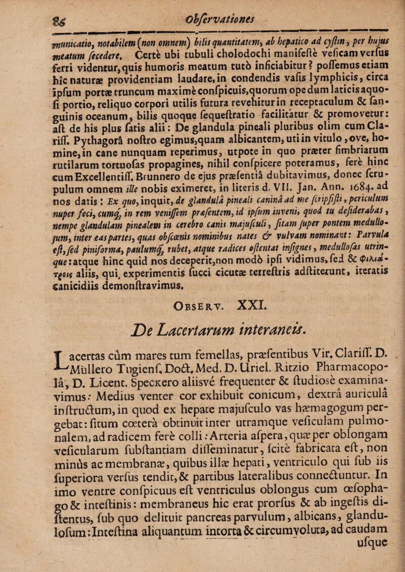 s\ mmicMio, notabilem (non omnem) bilis quantitatem> ab hepatico ad cjjlm, per hujus meatum fecedere* Certe ubi tubuli choledochi manifefte veficam verfus ferri videntur,quis humoris meatum tuto inficiabitur? poflemus etiam hic natur® providentiam laudare,in condendis vafis lymphids, circa ipfum port® truncum maxime confpicuis,quorumope dum laticisaquo- li portio, reliquo corpori utilis futura revehitur in receptaculum & fan- guinis oceanum, bilis quoque fequeftratio facilitatur & promovetur: afl de his plus fatis alii : De glandula pineali pluribus olim cum Cia- riff. Pythagora noftro egimus,quam albicantem, uti in vitulo,ove, ho¬ mine, in cane nunquam reperimus, utpote in quo pr®ter fimbriarum rutilarum tortuofas propagines, nihil confpicere poteramus, fere hinc cumExcellentiff. Brunnero de ejus pr®fenti& dubitavimus, donec feru- pulum omnem ille nobis eximeret, in literis d. VIL Jan. Ann. 1684» ad nos datis l Ex quo, inquit» di glandula pineali canini ad me fctipjijli, periculum nuper feci, cum% in rem venijfem prafentem^id ipfum inventi quod tu dejiderabas, nempe glandulam pinealem in cerebro canis majufiuli, Jitam Juper pontem medullo- /«m, inter eas partes, quas obfimis nominibus nates & vulvam nominant: Parvula efi,fid piniforma, paulumqj rubet, atque radices oflentat tnfignes, medullofas utrtn1- que:atque hinc quid nos deceperit,non modb ipfi vidimus»fed & rgoit aliis, qui,, experimentis fucci cicut® terreftris adfliterunt, iteratis canicidiis demonftravimus, Observ. XXL De Lacertarum interaneis. Lacertas cum mares tum femellas, pratentibus Vir^ClarifT. D. Muliero Tugienf, D06L Med. D. Uriel. Ritzio Pharmacopo¬ la, D. Licent. SpecKero aliisve frequenter & ftudiose examina¬ vimus.’ Medius venter cor exhibuit conicum, dextra auricula inftru<ftum,in quod ex hepate majufculo vas htemagogum per¬ gebat :fitum coetera obtinuit inter utramque veficulam pulmo¬ nalem, ad radicem fere colli .‘Arteria afpera,qu<eper oblongam veficularum fubftantiam difteminatur, (cite fabricata eft, non minus ac membrana?, quibus ili® hepati, ventriculo qui fub iis fuperiora verfus tendit, & partibus lateralibus conne&untur. In imo ventre confpicuus eft ventriculus oblongus cum oefopha- go& inteftinis: membraneus hic erat prorfus & ab ingeftis di- ftentus, fub quo delituit pancreas parvulum, albicans, glandu- lofum:Inteftma aliquantum intorta & circumvoluta, ad caudam