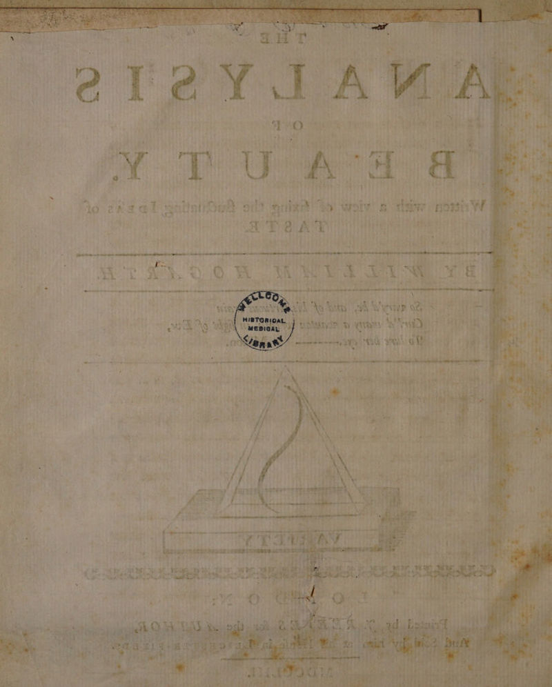 Misty! gs : Ciet | ad y ilk Aq hee + 4 , mY pe xt