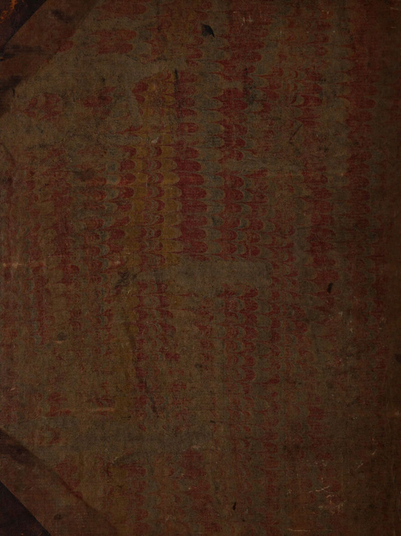 No text description is available for this image