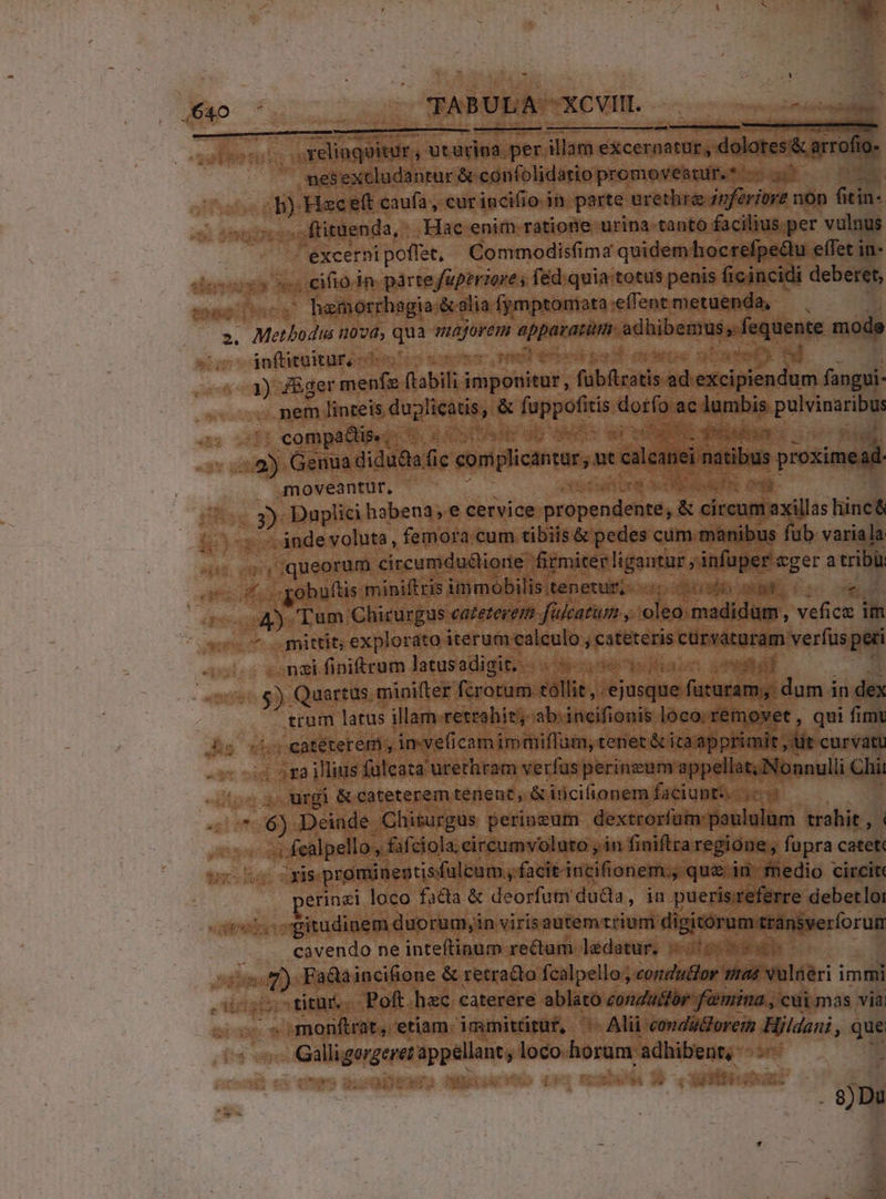 P Ue XABRUDNIXCVIL. TENA S ——— — .xelinquitur, utarina per illam excernatur , dolotes'&amp; arrofto- nesexcludantur &amp; confolidatio promoveatur.* n. 1 b) Hecett caufa, curincifio in parte urethra inferiore non fitin- ftituenda,. Hac enim ratione urina-tanto facilius per vulnus excernipoffet, Commodisfima quidem hocrefpectu effet in- | 5ceifio.in pártejfaperiore ; fed: quia totus penis ficincidi deberet, —. hamorrhegia.écalia fymptomata:efent metuenda, bi - T inftitnitur, 7o n vm | 1) J&amp;ger menfe (tabili imponitur, fubftratis ad excipiendum fangui- . mem linteis duplicatis, &amp; fuppofitis dorfo ac lumbis pulvinaribus 2) Genua didu&amp;a fic comiplicantar,, ut calcanei natibus proxi |  moveantur, | MMC oo cgue * 3) Duplici habena, e cervice propendente, &amp; circum axillas hinc ^ inde voluta, femora.cum tibiis &amp; pedes cum.manibus fub. variala -, queorum circumdu&amp;liorie firmiter ligantur ; infuper eger a tribüi obuftis.miniftris immobilisitenetur;- 5; 066 s n 4). Tum Chirurgus cafeterem fülcatum y oleo madidüm, veficz im mittit; explorato iterum calculo , cateteris cürvaturam verfus peri nzi finitrum latusadigit. jx Mia tái T $) Quartus. minifter fcrotum tollit, ejusque futuram; dum in dex trum latus illam-retrahie; ab.incifionis loco. removet , qui fimt catéteremi, imve(icam immiflum, tenet &amp; ita apprimit ,dit curvatu - ia illius fuleata urethram verfus perineum appellat; Nonnulli Chi urgi &amp; cateterem tenent, &amp; iricifionem faciupts.- | T ; fealpello, fafciola eircumvoluto , in finiftraregione , fupra catet« xis. prominegtisfulcum., facitintifionem., que id. medio circit: erinzi loco facta &amp; deorfum duda, in puerisreferre debetloi gitudinem duorum,in viris autem trium digitórum transverforum cavendo ne inteftinum rectum ledatur. ys io ttur. Poft.hazc caterere ablato conductor famina , cui mas via ^ « amonftrat, etiam. immitütut, '.— Alii condadorem Hildani, que - . 8)Du
