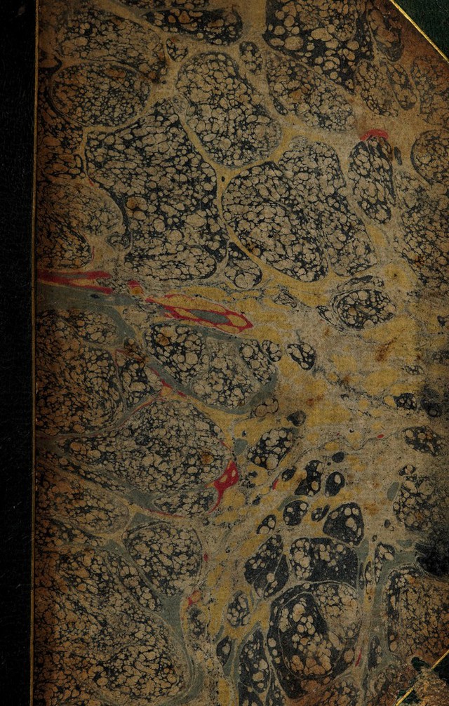 No text description is available for this image