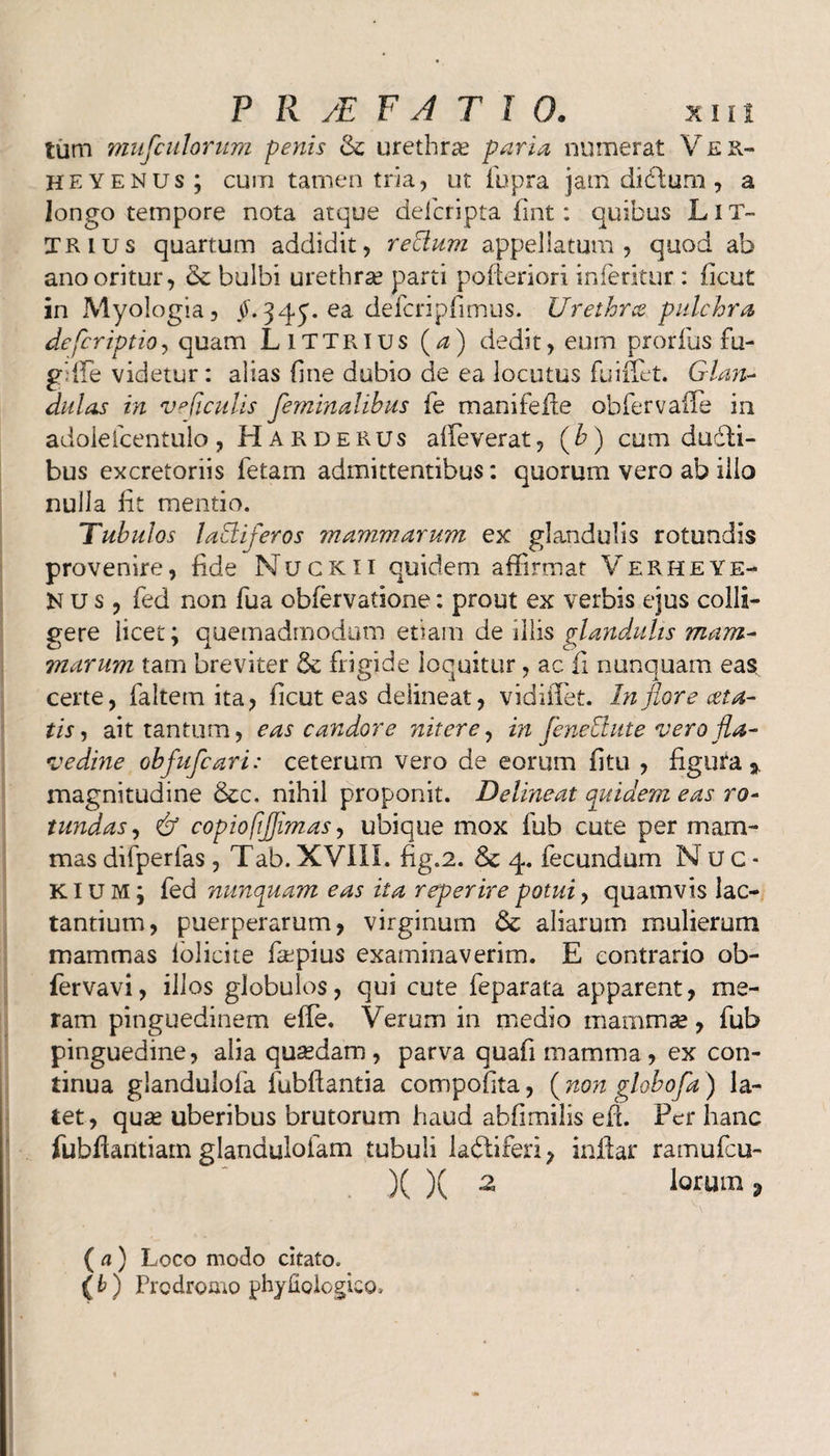 tum mufciilorum penis & urethras paria numerat Ver- HEYenus; cum tamen tria, ut fupra jam didtum , a longo tempore nota atque delcfipta fint: quibus LIT- TRlus quartum addidit, rectum appellatum, quod ab ano oritur, & bulbi urethras parti polieriori inferitur : ficut in Myologia, §. 345. ea defcripfimus. Urethrce. pulchra defcriptio, quam LlTTRIUs (a) dedit, eum prorfus fu¬ gi ile videtur: alias fine dubio de ea locutus fuiflet. Glan¬ dulas in veficulis feminalibus fe manifefle obfervafie in adolefcentulo , Harderus affeverat, (b) cum dudti- bus excretoriis fetam admittentibus: quorum vero ab ilio nulla iit mentio. Tubulos lactiferos mammarum ex glandulis rotundis provenire, fide Nuckii quidem affirmat Verheye- Kus, fed non fua obfervatione: prout ex verbis ejus colli¬ gere licet; quemadmodum etiam de illis glandulis mam¬ marum tam breviter & frigide loquitur, ac ii nunquam eas certe, faltem ita, ficut eas delineat, vidiiTet. In flore cela¬ tis, ait tantum, eas candore nitere, in feneElute vero fla- vedine obfufcari: ceterum vero de eorum fi tu , figura a. magnitudine &c. nihil proponit. Delineat quidem eas ro¬ tundas, & copiofijjimas, ubique mox fub cute per mam¬ mas difperfas , Tab. XVIII. fig.2. Sc 4. fecundum Nuc- KlUMj fed nunquam eas ita reperire potui, quamvis lac¬ tantium, puerperarum, virginum & aliarum mulierum mammas lolicite fsepius examinaverim. E contrario ob- fervavi, illos globulos, qui cute feparata apparent, me¬ ram pinguedinem effe. Verum in medio mammas, fub pinguedine, alia quasdam, parva quafi mamma, ex con¬ tinua glandulofa fubftantia compofita, (non globofa) la¬ tet, quas uberibus brutorum haud abfimilis eii Per hanc fubflantiam glandulofam tubuli labtiferi, inftar ramufcu- )( )( Z Iorum 9 ( a ) Loco modo citato. (b) Prodromo phyfiologico.