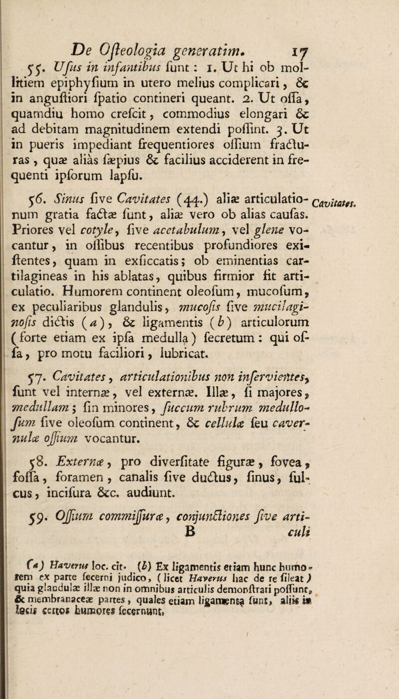 JJ. Ufus in infantibus funt: 1. Ut hi ob mol¬ litiem epiphyfium in utero melius complicari, 6c in anguffiori fpatio contineri queant. 2. Ut offa, quamdiu homo crefcit , commodius elongari ad debitam magnitudinem extendi poffint. 3. Ut in pueris impediant frequentiores offium fractu¬ ras , quas alias fepius facilius acciderent in fre¬ quenti ipforum lapfu. y<5. Sinus five Cavitates (44.) alias articulatio- QavitatgS, num gratia factas funt, aliae vero ob alias caufas. Priores vel cotyle7 five acetabulum, vel glene vo¬ cantur , in offibus recentibus profundiores exi- flentes, quam in exficcatis; ob eminentias car¬ tilagineas in his ablatas , quibus firmior fit arti¬ culatio. Humorem continent oleofum , mucofum, ex peculiaribus glandulis , mucofis five mucilagi- nofis dictis ( a ) , & ligamentis (b) articulorum ( forte etiam ex ipfa medulla) fecretum: qui of¬ fa , pro motu faciliori > lubricat. 5*7. Cavitates, articulationibus non infervientesy funt vel internas, vel externas. Illas, fi majores ? 7neditlla7n; fin minores, fuccum rubrum medullo- fum five oleofum continent, &: cellula feu caver¬ nula ojjium vocantur. 58. Externa, pro diverfitate figuras, fovea ? foffa, foramen , canalis five ductus, finus, fub cus, incifura &c. audiunt. 59. OJJium commijjura ? conjmBiones five arti- B culi Ca) Wavmif loc. cit* (l) Ex ligamentis etiam hunc humo* rem ex parte fecerni judico, (licet Haverus hac de re fileat) quia glandulas illae non in omnibus articulis demonftrari pofliint9 & membranaceae partes, quales edam ligamenta (unt, alik i* Ideis certos humores fccernunt, /