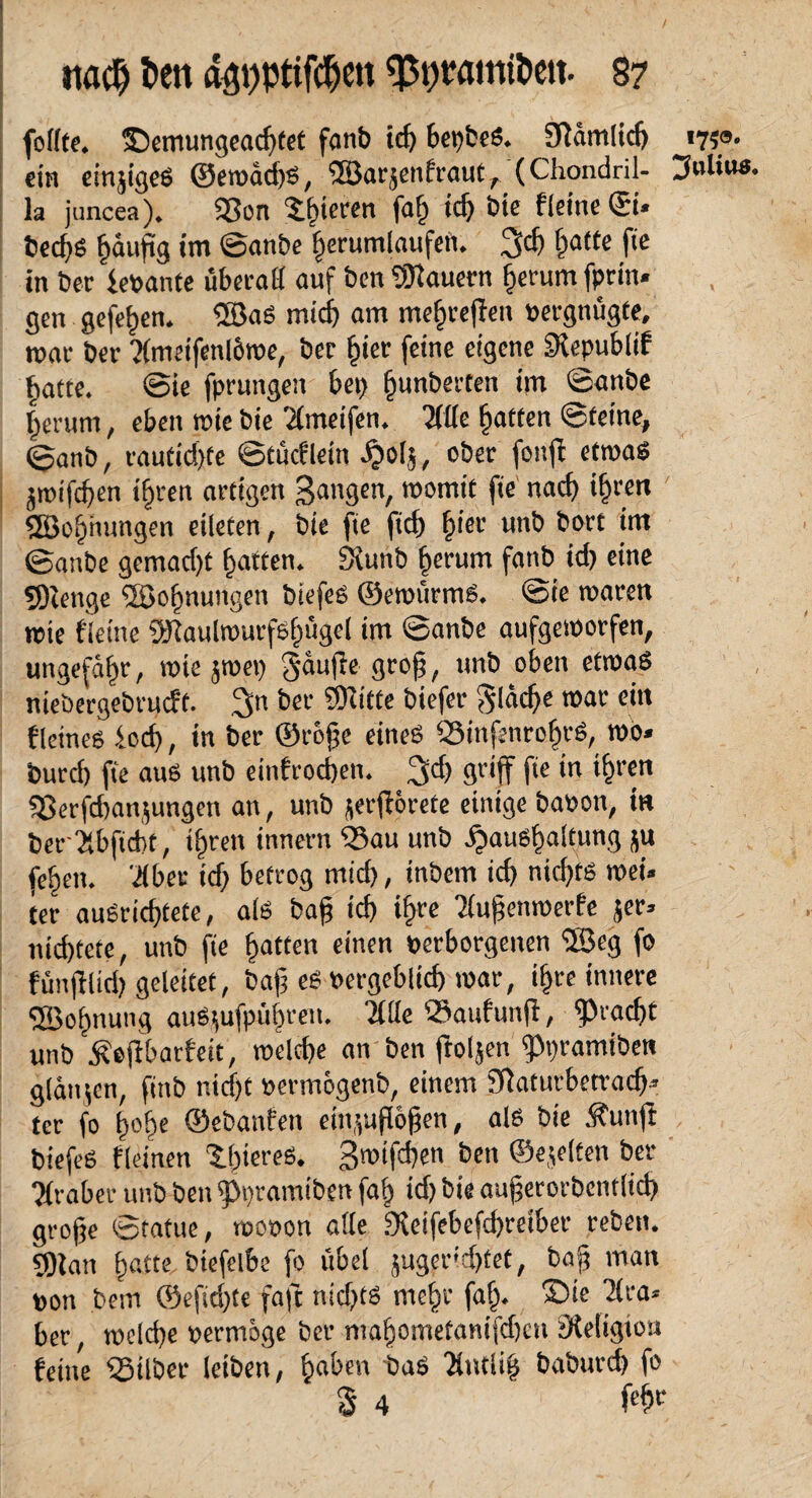 follte. ©emungeadftet fanb id; bepbeS. 9f dm lieh i7?o. ein einziges ©emad)S, ©arjenfraut, (Chondril- Julius la juncea). Sßon $h*circn fah id; bie fleineSi* bed;S §dujig im ©attbe herumlaufen. 3d) fjatte fic in Der fevante überall auf ben dauern herum fprin* . gen gefefjen. ®aS mid) am mehreren vergnügte, mar ber IKmeifenlöwe, bec hier feine eigene SKepublif hatte. @ie fprungen bei; §unberten im ©anbe herum, eben wie bie 2lmeifen. Tflle Ratten ©feine, ©anb, raufid;fe ©tücflein ^>0(5, ober fouft etwas jmifeben ifjren artigen Sangen, womit fie nad) ihren fBJo§hungen eilefen, bie fie ftd) biiov unb bort im ©anbe gemad;t Ratten. Sümb herum fanb id; eine ©enge ©ofnumgen biefes ©ewürmS. ©ie waren wie {deine ©aulwurfs()üge{ im ©anbe aufgeworfen, ungefähr, wie jwet; Raufte grofj, unb oben etwas niebergebrudrt. 2>n ber Stifte biefer Sldche war ein f[eines icd;, in ber ©rojje eines S5infenro§rS, wo« burd; fie aus unb einfachen. 3d; griff fie in ihren «Berfdianjungen an, unb jetjlorefe einige bavon, in ber ilbficbt, iljren innern ‘Sau unb Haushaltung ju fehen. '«Mbet icf; betrog mid;, inbem ich nichts wei« ter ausrichtete, als bah '<*> *hre Eujjenwerfe jer« nid;tete, unb fie hatten einen verborgenen ©cg fo fünjllid; geleitet, bajj es vergeblich war, i^re innere ©ofmung auS^ufpühren. Me ®aufunfl, Fracht unb Äefibarfeit, welche an ben flogen fPpramiben glatt jen, finb nid;t vermögenb, einem Sfiaturbetrad;* ter fo h«hc ©ebanfen ein.vuflögen, als bie Äunft biefes {(einen tl;ieres. 3*üifct;en ben ©ejelten ber Araber unb ben fPpramiben fah id; bie auherorbentlid; grofje ©tatue, wovon alle fKeifebefchretber reben. ©an Iw«« btefelbe fo übel juger>'d;fet, bafj man von bein ©efid;te faft nid;ts mehr faf). ©ie ]Hra« ber, welche vermöge ber mahometanifd;cn Steligton feine ^Silber leiben, h«hen taS Tintliij baburd; fo 3 4 f«hr