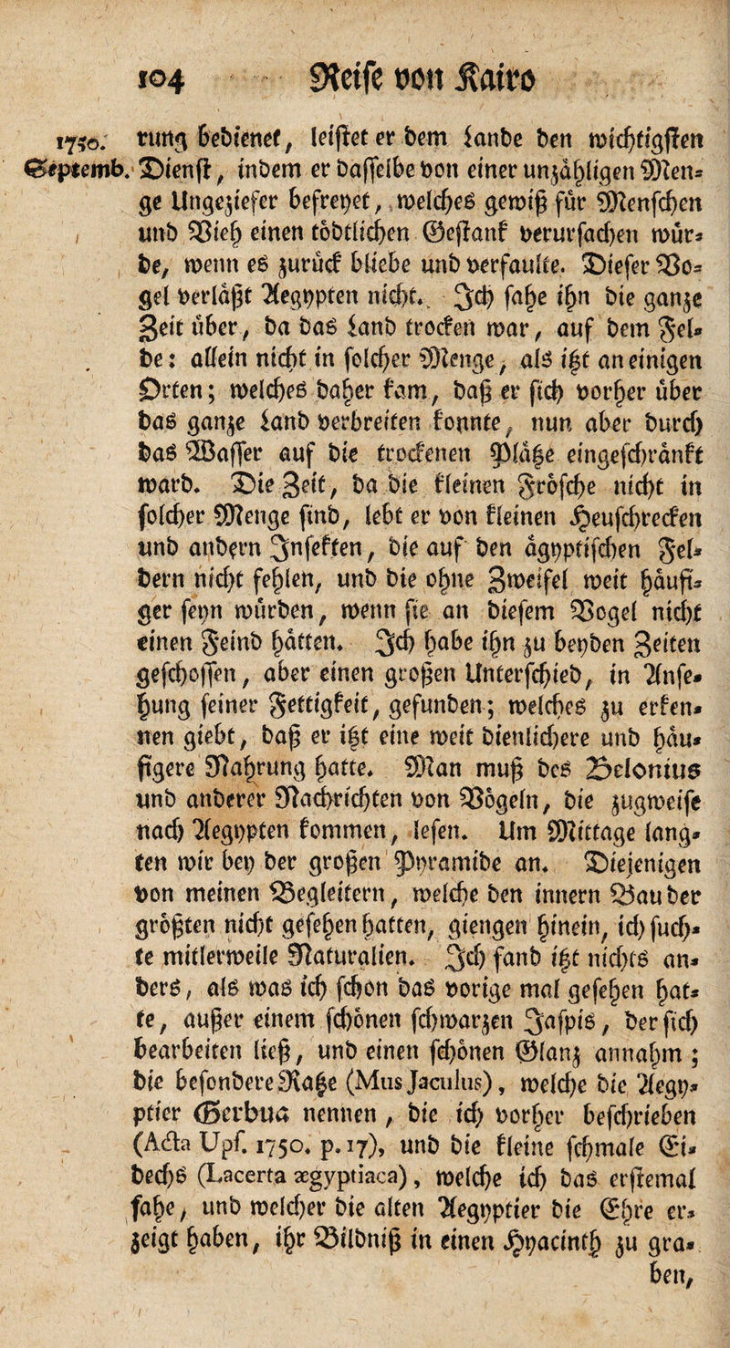 i©4 Steife oo« Äatro 1750. trung bebienef, leißeterbem ianbe ben mid)tigjTen ^tptemb.Sienfi , tnbem er baffdbe bon einer unzähligen 9Hen* ge Ungeziefer befreiet, meines gemiß für 3Renfd)en 1 unb 33ie§ einen tbbt(id)en ©effanf berurfad)en mür* be, menn es zurücf bliebe unb berfaulte. tiefer Bo* gel berldßt Äegppten md)t*v faf)e ißn bie ganze Seit über, ba ba£ ianb troefen mar, auf bem $eU bet aU ein nicht in fold)er SOtenge , afe i|t an einigen Orten; mdd)eö ba^er fam, baß er ftcb borget’ über ba6 ganze ianb berbreiten formte. nun aber burdj ba6 2öaf[er auf bie troefenen ^p(a|e eingefdjrdnft marb. Sie Seit , ba bie f(einen §rofcf)e nicht in folcber SD?enge fmb, lebt er bon fieinen jjeufeßreefen unb anbern ^nfeften, bie auf ben dgpptifd)en $e(* bern nid)t fehlen, unb bie ohne Steife! meit häuft* ger fepn mürben , menn fte an biefem Bogel nicht einen g*einb batten* 3cß §ahe ifyn zu bepben 3^tten gefeßoffen, aber einen großen Unterfdjieb, tn 2fnfe* §ung feiner gettigfeit, gefunben; welches zu erfen* nen giebt, baß er i|t eine meit bien(id)ere unb bau* ftgere Nahrung batte* SfRan muß be6 23domus unb anberer Nachrichten bon Bogefn, bie zugmeife nad) 'Xegppten fommen, (efen* Um SDiitfage lang» ten mir bep ber großen ^pramibe an* Sieienigen bon meinen Begleitern, me(cße ben innern Bau ber größten nicht gefeben batten, giengen hinein, td)futf;* te mitlermeile Naturalien* fanb t$t nicfxö an* berö, als maö ich (eben bas borige mal gefeben bat* te, außer einem fchonen fd)marzen 3»afpte, berfid) bearbeiten ließ , unb einen fd)onen ©(anj annabm ; bie befonbere Svabe (Musjaculus), mdd)e bie 2(egp* ptier (Bevbua nennen , bie td) borber befdjrieben (Adaüpf. 1750* p. 17), unb bie fleine fcbma(e ©t* bed)b (Lacerta aegyptiaca), melcbe td) bab erßemal fabe/ unb me(d>er bie alten $egpptier bie (£fyve er* Zeigt haben, i^r Bilbniß in einen ^pacintf) zu gra* ben, 1