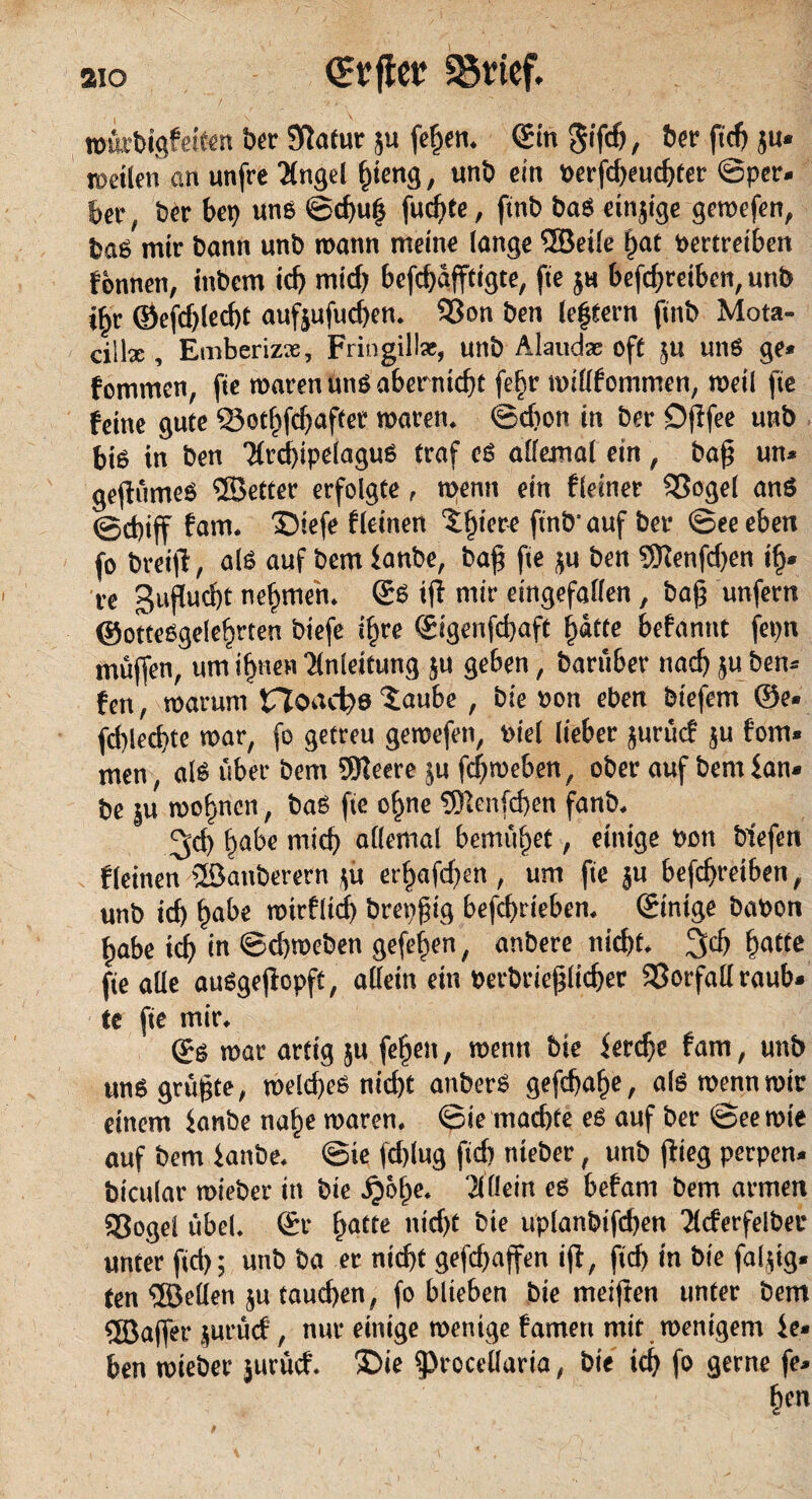 aio Grrflet Söricf. »örbigfeiten ber Statut- ju feßen. (Sin gifdf, ber ftd) ju* «»eilen an unfre Engel ßieng, unb ein »erfcbeuehter ©per« ber, ber bet) uns ©d)uf} fudfte, ftnb bas «injige geroefen, bas mir bann unb roattn meine lange ©eile tjat oertreiben fonnen, inbem idf mid) befchäfftigte, fie ju befdjretben, unb ibc ©efcßlecht aufjufueßen. Sßon ben leftern ftnb Mota- cillx , Emberizx, Fringillx, unb Alaudae off ju uns ge* fommen, fie mären uns aberntdft fefjr roillfommen, meil fie feine gute Soeßfdfafter roaren. ©dfon in ber Dftfee unb bis in ben ErcßipelaguS traf es allemal ein , baß un* geßümeS ©etter erfolgte, menn ein fleiner Sßogel ans ©d)iff fam. Xsiefe fleiiten tljiere ftnb1 auf ber @ee eben fo breift, als auf bem fanbe, baß fie ju ben ©enfdfen if>- re guftueßt nehmen, ©s iß mir eingefallen, baß unfern ©ottesgefeßrten biefe ißre ©igenfd)aft fjätte befantit fepn muffen, um ißnen Enleitung ju ge6en, baruber nadj ju ben* fett, marum 5floact)s -taube, bie oon eben biefem ©e* ßblecßte mar, fo getreu gemefett, oiel lieber jurücf ju fom* men, als über bem ©eere ju feßroeben, ober auf bem [an* be ju rooßnen, baS fie offne ©enfeben fanb. ^d) ßabe mid) allemal bemühet, einige »on blefen fleinen ©attberern jit erßafdfcn , um fie ju befdfretben, unb id) ßabe roirflid) brepßig befeßrieben. ©intge baoon ßabe id) in ©cßroeben gefeiten, anbere nicht, ^cß hatte fie alle auSgeßopft, allein ein oerbrießlicßer Sßotfall raub* te fie mir. ©s mar artig ju [elfen, menn bie ferdfe fam, unb uns grüßte, roekßes nid)t anberS gefeßaße, als menn mir einem ianbe naße roaren. ©ie machte es auf ber ©eerote auf bem ianbe. ©ie fd)lug fidt nteber, unb ßieg perpen* bicular roieber in bie djöße. 'illlein es befam bem armen 93oge! übel, ©r ßatte nicht bie uplanbifchen Ecferfelber unter ftd); unb ba er ntcßf gefeßaffen iß, jtd) in bie faljig* ten ©eilen ju taueßen, fo blieben bie meiften unter bem ©affer jurücf, nur einige wenige famett mit wenigem f e* ben roieber jurücf. 2)ie fprocellaria, bie icß fo gerne fe*