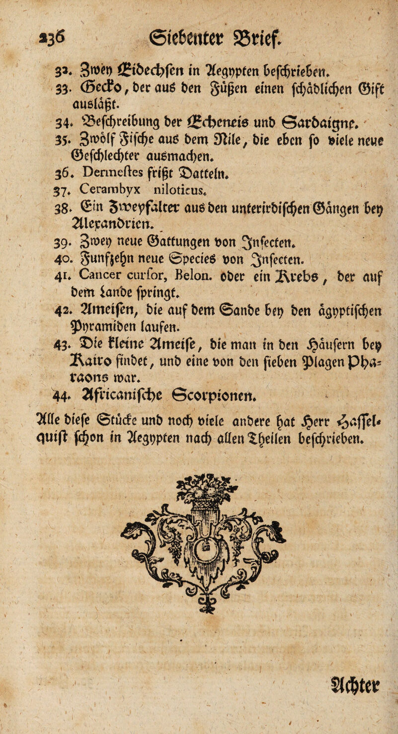 *36 ©te&ettfet: 35dcf. 33* ££töecfrfen in Tfegppien befdjrieben* 33* d5ed?o, bec au£ ben $üßen einen fdjdblidjen ®if£ ausldgt. 34* S3efd>reibung ber igefocnm unb ©arbaigne. 35» 3wp[f Sifcfje aus bem Stile, bic eben fo siele neue ©efd)led)ter au$mad)en* 36* Dermeftes frißt SDatteltt. 37* Cerambyx niloticus* 38* ©n Sweyfaltet; aus ben unferirbifdjen ©dngen bep 2üepanbricn. 39. 3^^) neue ©affungen son ^nfeefen* 40. gunfje^n neue ©pecieS t>on ^nfeecen. 4r* Cancer curtor, Belon. ober ein 2\i*ebs, ber auf betn iartbe fpringf* 42. 2lmetfen, bte auf bem ©anbe bep ben agppcifcben 9>pramtben laufen. 43. S)te f leine Stmetfe, bieman in ben Raufern bep 2latt*o (tnbet, unb eine son ben fieben plagen Pb^s traons mar* 44* 8fricamfct)ß ©corpienen* 3f(le biefe ©tuefe unb noch siele anbere §at £err Raffel* quift fdjon in Jlegppten nad) allen feilen befdjriebem 1