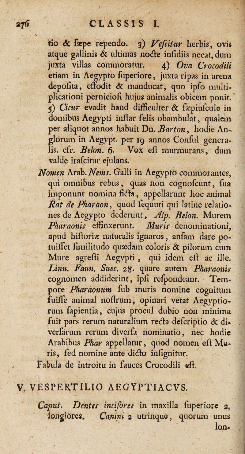 f 376 CL AS SIS I. \ . ■ , i (  ,■ -11 ^ tio <5c fepe rependo. 3) Vefcitiir herbis, ovis atque gallinis & ultimas node inildiis necat, dum juxta villas commoratur. 4) Oua Crocodili etiam in Aegypto fuperiore, juxta ripas in arena depofita, effodit & manducat, quo ipfo multi- plicationi perniciofi hujus animaiis obicem ponit. 5) Cicur evadit haud difliculfer & fsepiufcule in domibus Aegypti inEar felis obambulat, qualein per aliquot annos habuit Dn. Barton, hodie An- glorum in Aegypt. per 19 annos Conful genera¬ lis. cfr. Beton. 6. Vox eft murmurans, dum valde irafcitur ejulans. Nomen Arab. Nems. Galli in Aegypto commorantes, qui omnibus rebus, quas non cögnofcunt, fua imponunt nomina Eda, appellarunt hoc animal Kat de Pharaon, quod fequuti qui latine relatio- nes de Aegypto dederunt, Alp. Belon. Murein Pharaonis effinxerunt. Muris denominationi, apud hiEoriae naturalis ignaros , anfam dare po- tuiEet fimilitudo quxdain coloris dt pilorum cum Mure agreEi Aegypti , qui idem eE ac ille. Linn. Faun. Suec. 28« quare autem Pharaonis cognomen addiderint, ipE relpondeant. Tem¬ pore Pharaonum fub muris nomine cognitum fuiffe animal noErum, opinari vetat Aegyptio- rum fapientia, cujus procul dubio non minima fuit pars rerum naturalium reda defcriptio de di* verfärum rerum diverfa nominatio, nec hodie Arabibus Phar appellatur, quod nomen eE Mu¬ ris, fed nomine ante dido inügnitur. Fabula de introitu in fauces Crocodili eE. V. VESPERT ILIO AEGYPTI ACVS. Caput. Dentes incifores in maxilla fuperiore 2, longiores. Cmini 2 utrinque, quoruni unus Ion-