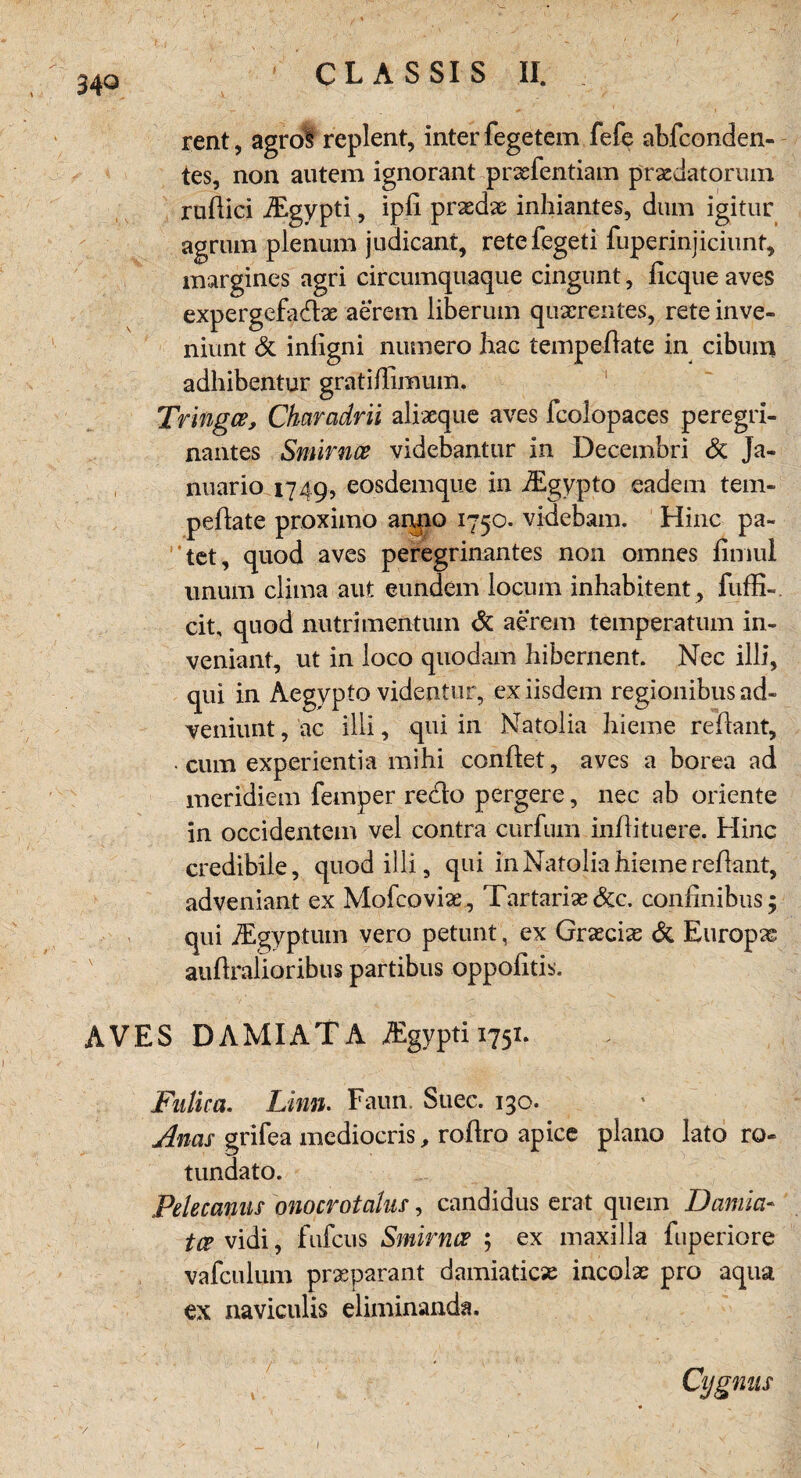 / C L A S SI S II. rent, agroi replent, inter fegetem fefe abfconden- tes, non autem ignorant prxfentiam prxdatormn raftici iEgypti, ipfi prxdx inhiantes, dum igitur agrum plenum judicant, retefegeti fuperinjiciunt, margines agri circumquaque cingunt, ficque aves expergefadx aerem liberum quxrentes, rete inve- niunt <3c inligni numero hac tempeffate in cibum adhibentur gratißimum. Tringce, Charcidrii alixque aves fcolopaces peregri- nantes Smirnce videbantur in Decembri & Ja- nuario 1749, eosdemque in iEgypto eadem tem¬ peflate proximo anno 1750. videbam. Hinc pa- tct, quod aves peregrinantes non omnes fimul unum clima aut eundem iocum inhabitent, fuffi-, eit, quod nutrimentum <3c aerem temperatum in- veniant, ut in loco quodam hibernent. Nec illi, qui in Aegvpto videntur, exiisdem regionibus ad- veniunt, ac illi, qui in Natolia hieme reflant, • cum experientia mihi conflet, aves a borea ad meridiem femper redo pergere, nec ab Oriente in occidentem vel contra curlum inflituere. Hinc credibile, quod illi, qui in Natolia hieme reflant, adveniant ex Mofeovix, Tartarix <3cc. confinibus; qui jEgyptum vero petunt, ex Grxcix & Europx auflralioribus partibus oppofitis. AVES DAMIATA iEgypti 1751. Fnlica. Linn. Faun. Suec. 130. Anas grifea mediocris, roflro apice plano lato ro- tundato. Pelecanns onocrotalus, candidus erat quem Damia- tce vidi, fufeus Smirnce ; ex maxilla fuperiore vafculum prxparant damiaticx incolx pro aqua ex naviculis eliminanda. Cijgnus