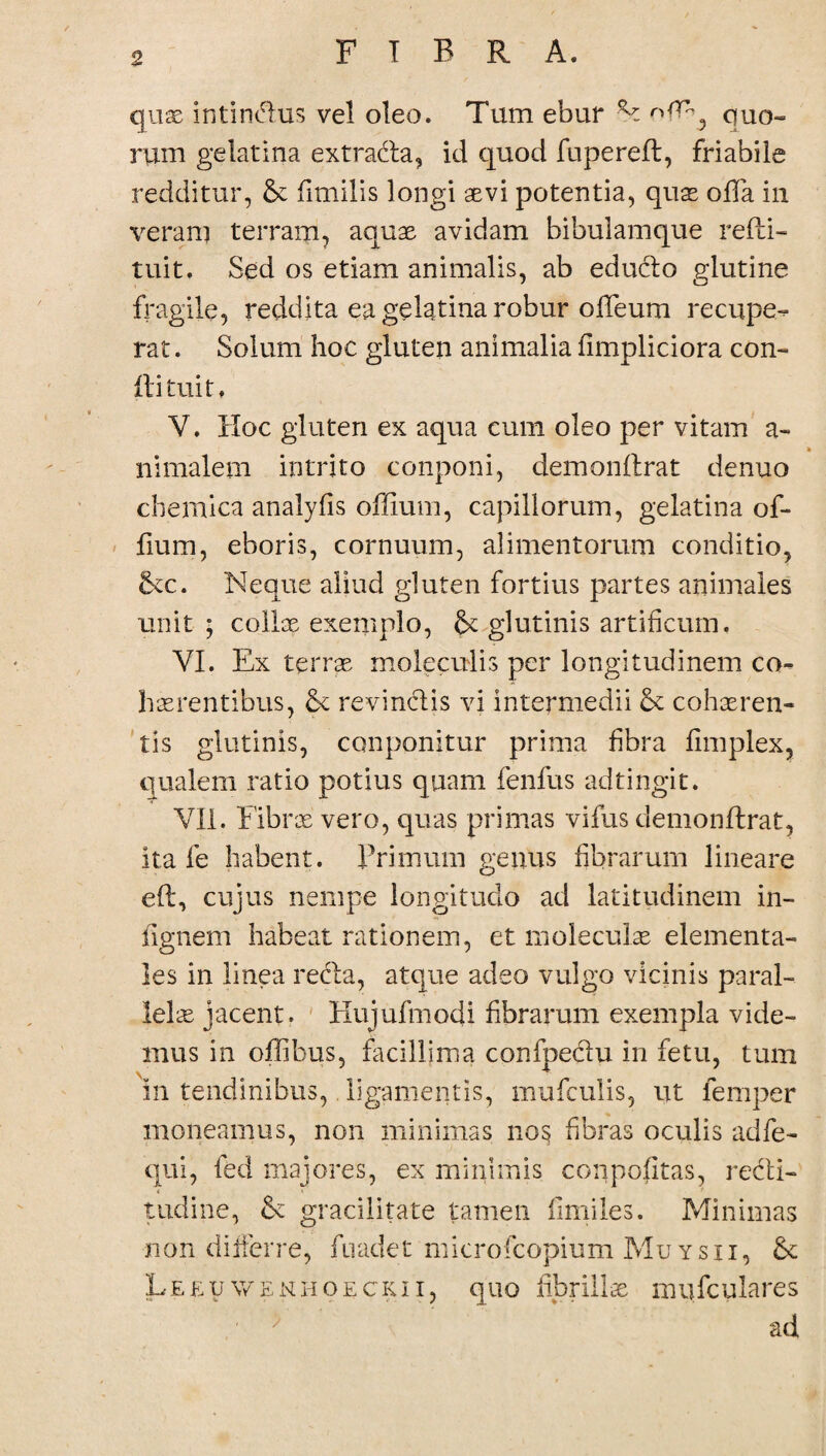 quas in t i rufius vel oleo. Tum ebur quo¬ rum gelatina extradia, id quod fupered, friabile redditur, & fimilis longi aevi potentia, qus offa in veram terram, aquae avidam bibulamque redi¬ tui t. Sed os etiam animalis, ab educlo glutine fragile, reddita ea gelatina robur odeum recupe-, rat. Solum hoc gluten animalia fimpliciora con¬ di tui t. V. Hoc gluten ex aqua cum oleo per vitam a- » nimalem intrito conponi, demondrat denuo chemica analyfis offium, capillorum, gelatina of- fium, eboris, cornuum, alimentorum conditio, Scc. Neque aliud gluten fortius partes animales unit ; colice exemplo, glutinis artificum. YI. Ex terras molendis per longitudinem co¬ haerentibus, &c revindis vi intermedii & cohaeren¬ tis glutinis, conponitur prima fibra fimplex, qualem ratio potius quam fenfus adtingit. VII. Fibrae vero, quas primas vifus demondrat, ita fe habent. Brimum genus fibrarum lineare ed, cujus nempe longitudo ad latitudinem in- fignem habeat rationem, et moleculas elementa- les in linea reda, atque adeo vulgo vicinis paral¬ lelae jacent. FXujufmodi fibrarum exempla vide¬ mus in offibus, facillima confpedu in fetu, tum in tendinibus,, ligamentis, mufculis, ut lemper moneamus, non minimas no$ fibras oculis adfe- qui, fed majores, ex minimis conpofitas, redi- < * ■ r tudine, & gracilitate tamen fimiles. Minimas non differre, fnadet ndcrofcopium Mu ysii, & Lekuwenhoeckii, quo fibrillae mufculares ■ > ad