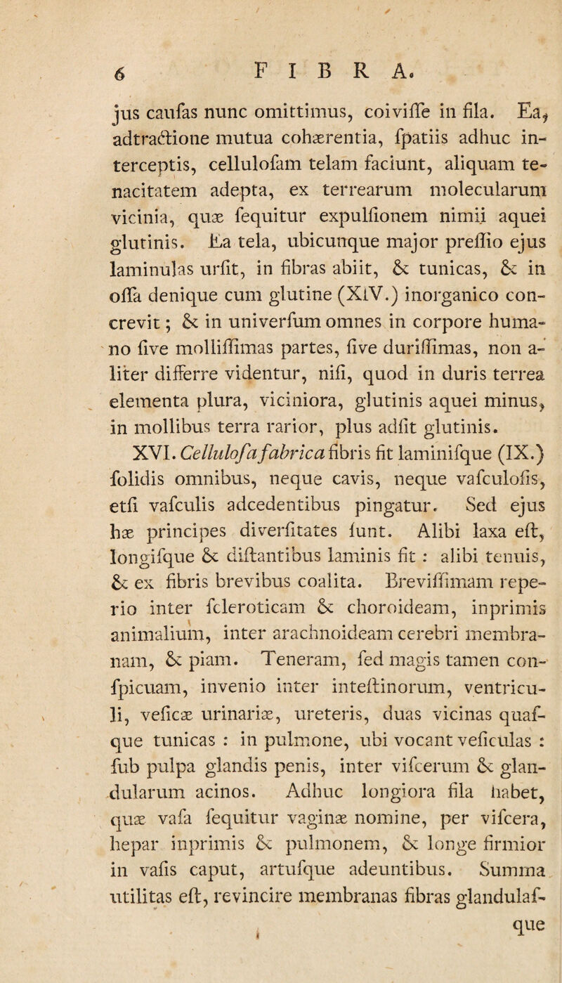 jus caufas nunc omittimus, coiviffe in fila. Ea? adtra&ione mutua cohaerentia, fpatiis adhuc in¬ terceptis, cellulofam telam faciunt, aliquam te¬ nacitatem adepta, ex terrearum molecularum vicinia, quae fequitur expulfionem nimii aquei glutinis. Ea tela, ubicunque major preffio ejus laminulas urfit, in fibras abiit, & tunicas, & in ofifa denique cum glutine (XiV.) inorganico con¬ crevit ; & in univerfum omnes in corpore huma¬ no five molliffimas partes, five duriflimas, non a- liter differre videntur, nifi, quod in duris terrea elementa plura, viciniora, glutinis aquei minus, in mollibus terra rarior, plus adfit glutinis. XVI. Cellulofa fabrica fibris fit laminifque (IX.) folidis omnibus, neque cavis, neque vafculofis, etfi vafculis adcedentibus pingatur. Sed ejus hx principes diverfitates lunt. Alibi laxa eft, longifque & diftantibus laminis fit: alibi tenuis, Sc ex fibris brevibus coalita. Breviffimam repe- rio inter fcleroticam Se choroideam, in primis animalium, inter arachnoideam cerebri membra¬ nam, Sepiam. Teneram, fed magis tamen con- fpicuam, invenio inter inteftinorum, ventricu¬ li, veficae urinarias, ureteris, duas vicinas quaf- que tunicas : in pulmone, ubi vocant veficulas : fub pulpa glandis penis, inter vifcerum Se glan¬ dularum acinos. Adhuc longiora fila habet, quae vafa fequitur vaginae nomine, per vifcera, hepar inprimis & pulmonem, Sc longe firmior in vafis caput, artufque adeuntibus. Summa utilitas eft, revincire membranas fibras glandulaf- que