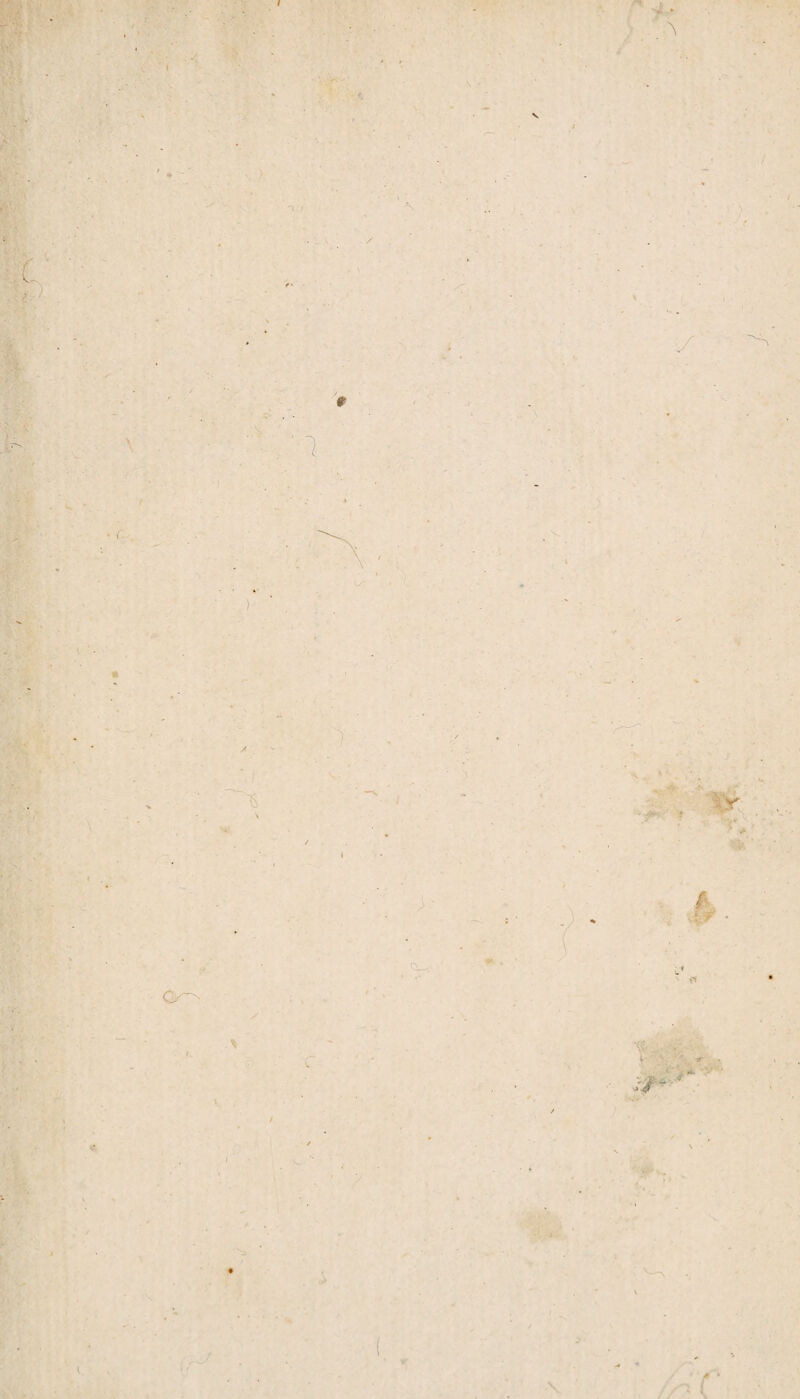 I r*i i. \ v V i/ ■ n \ * '-V- <1 / i *