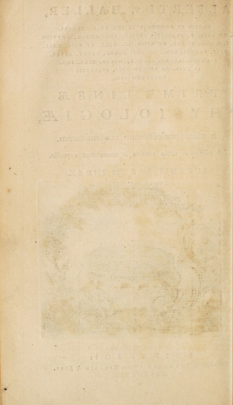 fri , ^ .i... 4 4 ’ • ■ . v : ' : • / ■ ■ ‘ ’p • • / - V t .«■ . ■■ - \ » T