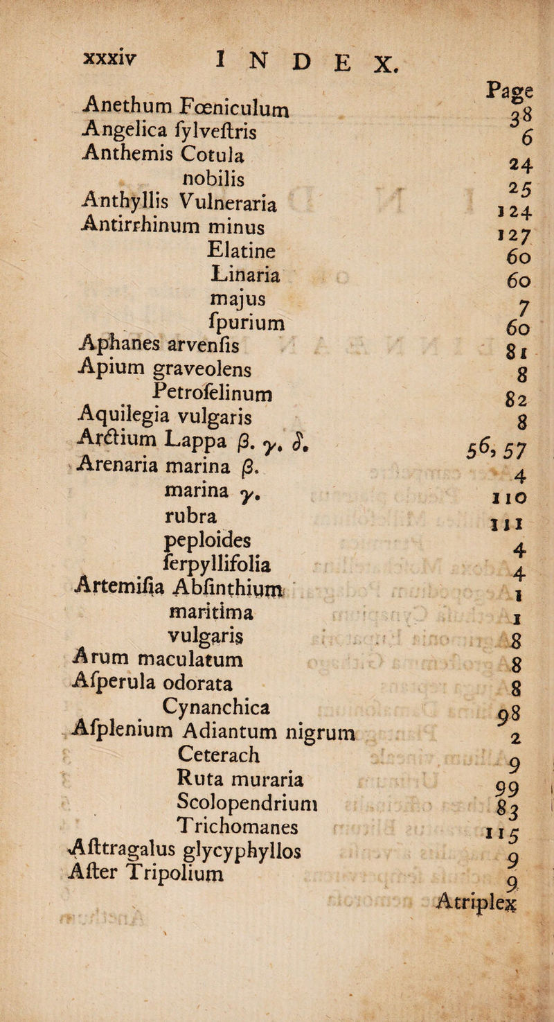 Anethum Foeniculum Angelica fylveftris Anthemis Cotula nobilis An thy His Vulneraria Antirrhinum minus Elatine Linaria majus fpurium Aphanes arvenfis Apium graveolens Petrofelinum Aquilegia vulgaris Ardium Lappa (3. y, §. Arenaria marina (3. marina y% rubra peploides ferpyllifolia Artemifia Abfinthium maritima vulgaris Arum maculatum Afperula odorata Cynanchica Afplenium Adiantum nigrum Ceterach Ruta muraria Scolopendrium Trichomanes Afttragalus glycyphyllos After Tripolium Page 38 6 24 25 124 127 60 60 7 60 81 8 82 8 5^57 4 no 111 4 4 1 1 8 8 8 98 2 9 99 115 9 9 Ample#