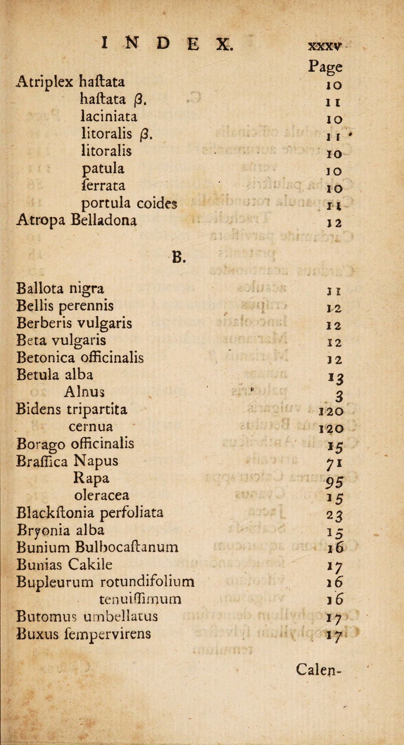 Atriplex haftata Page 10 haftata (3. 11 laciniata IO litoralis (3. i r litoralis IO patula IO ferrata IO portula coides t ' 11 Atropa Belladona 12 B. t - Ballota nigra J l Beilis perennis 12 Berberis vulgaris 12 Beta vulgaris 12 Betonica officinalis 12 Betula alba 13 Alnus * 3 Bidens tripartita 120 cernua 120 Borago officinalis *5 Braffica Napus 7l Rapa 95 oleracea 15 Blackftonia perfoliata 23 Bryonia alba 15 Bunium Bulbocaftanum 16 Bunias Cakile 17 Bupleurum rotundifolium tenuiffimum 16 Butomus umbellatus 17 Buxus fempervirens 17 Calen-