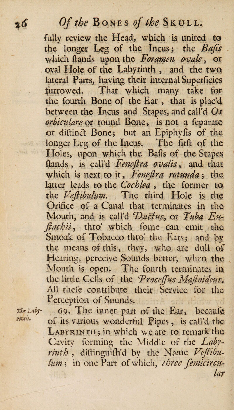 fully review the Head, which is united to the longer Leg of the Incus $ the Bajis which hands upon the Foramen ovale, or oval Hole of the Labyrinth , and the two lateral Parts, having their internal Superficies furrowed. That which many take for the fourth Bone of the Ear , that is placd between the Incus and Stapes, and call'd Os orbiculareor round Bone, is not a feparate or diftind Bones • but an Epiphyfis of the longer Leg of the Incus. The ftrft of the Holes, upon which the Bafis of the Stapes hands , is call'd Fenefira ovalis, and that which is next to it, Feneftra rotunda; the latter leads to the Cochlea , the former to the Vejlibulum. The third Hole is the Orifice of a Canal that terminates in the Mouth, and is call'd cDm£Ius> or Tuba Eu- fiachii, thro' which fome can emit the Smoak of Tobacco thro’ the Ears 5 and by the means of this, they, who are dull of Hearing, perceive Sounds better, when the Mouth is open. The fourth terminates in the little Cells of the Froceffus Mafioideus. Ail thcfe contribute their Service for the Perception of Sounds. rheuty- 69. The inner part of the Ear, becaufo, nmh. Gf jts various wonderful Pipes , is call’d the Labyrinth 5 in which we are to remark the Cavity forming the Middle of the Laby- r'mth , diftinguifh’d by the Name Veftibu- tum; in one Part of which, three femicircu-