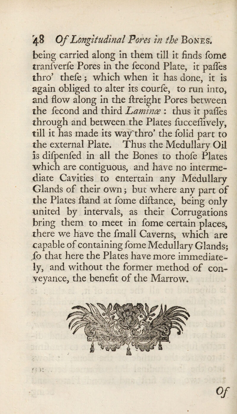 being carried along in them till it finds fome tranfverfe Pores in the fecond Plate, it paffes thro thefe; which when it has done, it is again obliged to alter its courfe, to run into* and flow along in the fireight Pores between the fecond and third Lamince : thus it paffes through and between the Plates fucceffively, till it has made its way'thro* the folid part to the external Plate. Thus the Medullary Oil is difpenfed in all the Bones to thofe Plates which are contiguous, and have no interme¬ diate Cavities to entertain any Medullary Glands of their own; but where any part of the Plates ftand at fome difiance, being only united by intervals, as their Corrugations bring them to meet in fome certain places, there we have the final! Caverns, which are capable of containing fome Medullary Glands.; fo that here the Plates have more immediate¬ ly, and without the former method of con¬ veyance, the benefit of the Marrow. Of