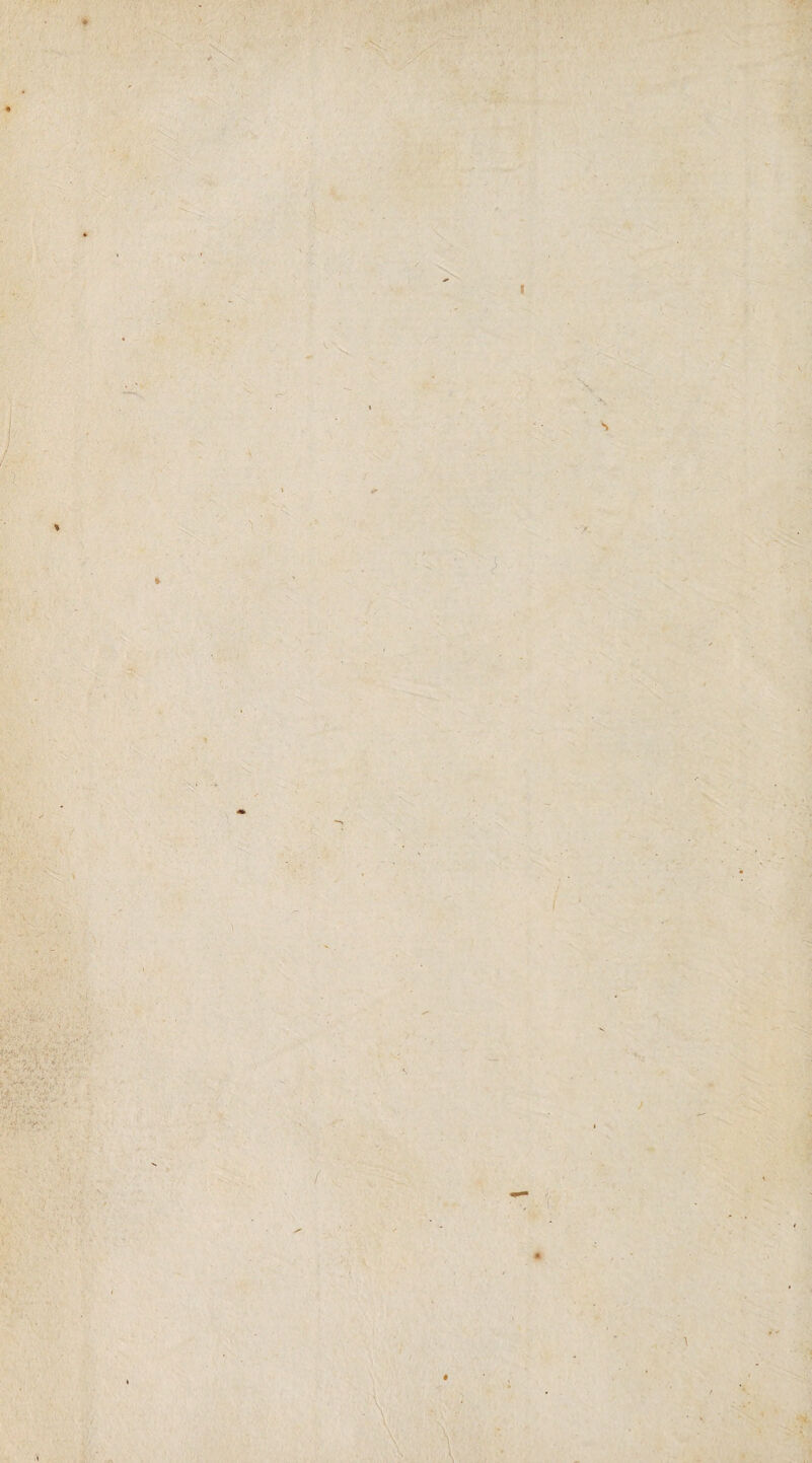 ; ■* .fi -v v .. ■y. ) ' k V - ■ : ;V‘ • • V':-- ■' • :g