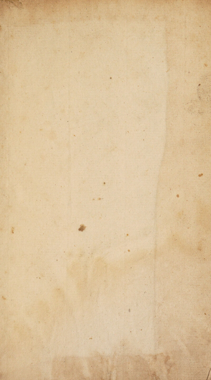 1 I Jr ? } - i <•’ k - 3* 'iV; v\ *>, - ; •*? t' v \ > . / -ati' . .fy 4*; . ^