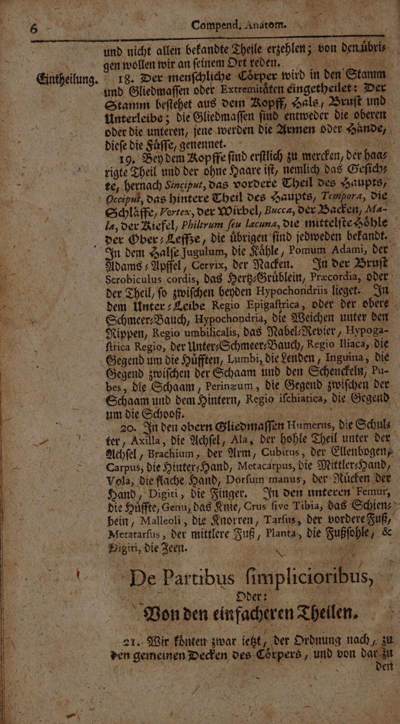* Eintheilung. Compend. Anatom. und nicht allen bekandte Theile erzehlen; von den uͤbris gen wollen wir an ſeinem Ort reden. 18. Der menſchliche Coͤrper wird in den Stamm und Gliedmaſſen obe Extremitäten eingetheilet: Der Stamm beſtehet aus dem Vopff, Hals, Bruſt und Unterleibe; die Gliedmaſſen ſind entweder die oberen oder die unteren, jene werden die Armen oder Hande, dieſe die Fuͤſſe, genennet. 3 e 19. Bey dem Kopffe find erſtlich zu mercken, der haa⸗ rigte Theil und der ohne Haare iſt, nemlich das Geſich⸗ te, hernach Sinciput, das vordere Theil des Haupts, la, der Riefel, Philtrum feu lacuna, die mittelſte Hohle . In dem Halſe Jugulum, die Kühle, Pomum Adami, der Adams Apffel, Cervix, der Nacken. In der Bruſt Serobiculus cordis, das Hertz⸗Gruͤblein, Precordia, oder der Theil, fo zwiſchen beyden Hypochondrüs fieget: In ö # fitica Regio, der Unter⸗Schmeer⸗Bauch, Regio lliaca, die fd el 20. In den obern Gliedmaſſen Humerus, die Schul ter, Axilla, Die Achſel, Ala, der hohle Theil unter der Achſel, Brachium, der Arm, Cubitus, der Ellenbogen Carpus, die Hinter Hand, Metacarpus, die Mittler, Hand, Vola, die flache Hand, Dorſum manus, der Ruͤcken der Hand, Digiti, die Finger. In den unteren kemur, die Hüffte, Genu, das Knie, Crus five Tibia, das Schien⸗ bein, Malleoi, die Knorren, Tarſus, der vordere Fuß, Metatarſus, der mittlere Fuß, Planta, die Fußſohle, & A * > 1 . Oder: „ u ve — 42 ene RE 21. Wir koͤnten zwar ietzt, der Ordnung nach, zu ven gemeinen Decken des Coͤrpers, und von dar zu
