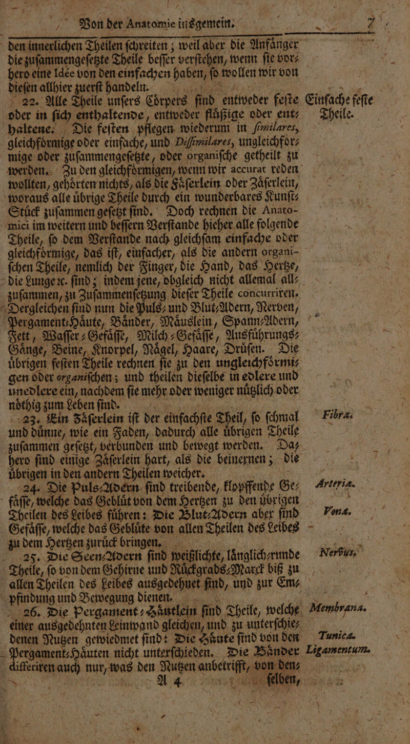 re, U Vlon der Anatomie insgemein n 7 den innerlichen Theilen ſchreiten; weil aber die Anfaͤnger die zuſammengeſetzte Theile beſſer verſtehen, wenn ſie vor⸗ hero eine Idee von den einfachen haben, ſo wollen wir von dieſen allhier zuerſt handeln. We 22. Alle Theile unſers Coͤrpers find entweder feſte Einfache feſte oder in ſich enthaltende, entweder fluͤßige oder entz Theile. haltene. Die feſten pflegen wiederum in frzilares, gleichfoͤrmige oder einfache, und Delemnlares, ungleichfoͤr⸗ mige oder zuſammengeſetzte, oder organiſche getheilt zu werden. Zu den gleichfoͤrmigen, wenn wir accurat reden wollten, gehörten nichts, als die Faͤſerlein oder Zaͤſerlein, woraus alle übrige Theile durch ein wunderbares Kunſt⸗ Stuͤck zuſammen geſetzt find. Doch rechnen die Anato- mici im weitern und beſſern Verſtande hieher alle folgende Theile, ſo dem Verſtande nach gleichſam einfache oder gleichfoͤrmige, das iſt, einfacher, als die andern organi- ſchen Theile, nemlich der Finger, die Hand, das Hertze, die Lunge ze. find; indem jene, obgleich nicht allemal alt; zuſammen, zu Zuſammenſetzung dieſer Theile concurriren. Dergleichen find nun die Puls; und Blut Adern, Nerven, ee Bänder, Maͤuslein, Spann Adern, ' ett, Waſſer⸗Gefaͤſſe, Milch Gefaͤſſe, Ausführung; Gänge, Beine, Knorpel, Nägel; Haare, Druſen. Die uͤbrigen feſten Theile rechnen ſie zu den ungleichfoͤrmi⸗ gen oder organiſchen; und theilen dieſelbe in edlere und unedlere ein, nachdem fie mehr oder weniger nuͤtzlich oder noͤthig zum Leben ſind. % 23. Ein Zäferlein ift der einfachſte Theil, ſo ſchmal Fibra. und duͤnne, wie ein Faden, dadurch alle uͤbrigen Theile zuſammen geſetzt, verbunden und bewegt werden. Das hero ſind einige Zaͤſerlein hart, als die beinernen; die übrigen in den andern Theilen weicher. N 3 24. Die Puls⸗Adern ſind treibende, klopffende Ge, Kleie. faͤſſe, welche das Gebluͤt von dem Hertzen zu den übrigen Theilen des Leibes führen: Die Blut Adern aber find Vena. Gefäffe, welche das Geblüte von allen Theilen des Leibes zu dem Hertzen zuruͤck bringen. WERE üißlichte, laͤnglich runde Nerrun 25. Die Seen⸗Adern find weiß Theile, ſo von dem Gehirne und Ruͤckgrads⸗Marck biß zu allen Theilen des Leibes ausgedehnet find, und zur em pfindung und Bewegung dienen. 1 f 26. Die Pergament; Haͤutlein find Theile, welche Membranz. einer ausgedehnten Leinwand gleichen, und zu unterſchie / denen Nutzen gewiedmet find! Die Saͤute find von den Tunica. N Pergamenk⸗Haͤuten nicht unterſchieden. Die Baͤnder Ligamentum. differiren auch nur, was den ae anbetrifft, von den? u» 4 1 N * . ea 7 TR 8 — N 7 5 „ 1 5 — N 3