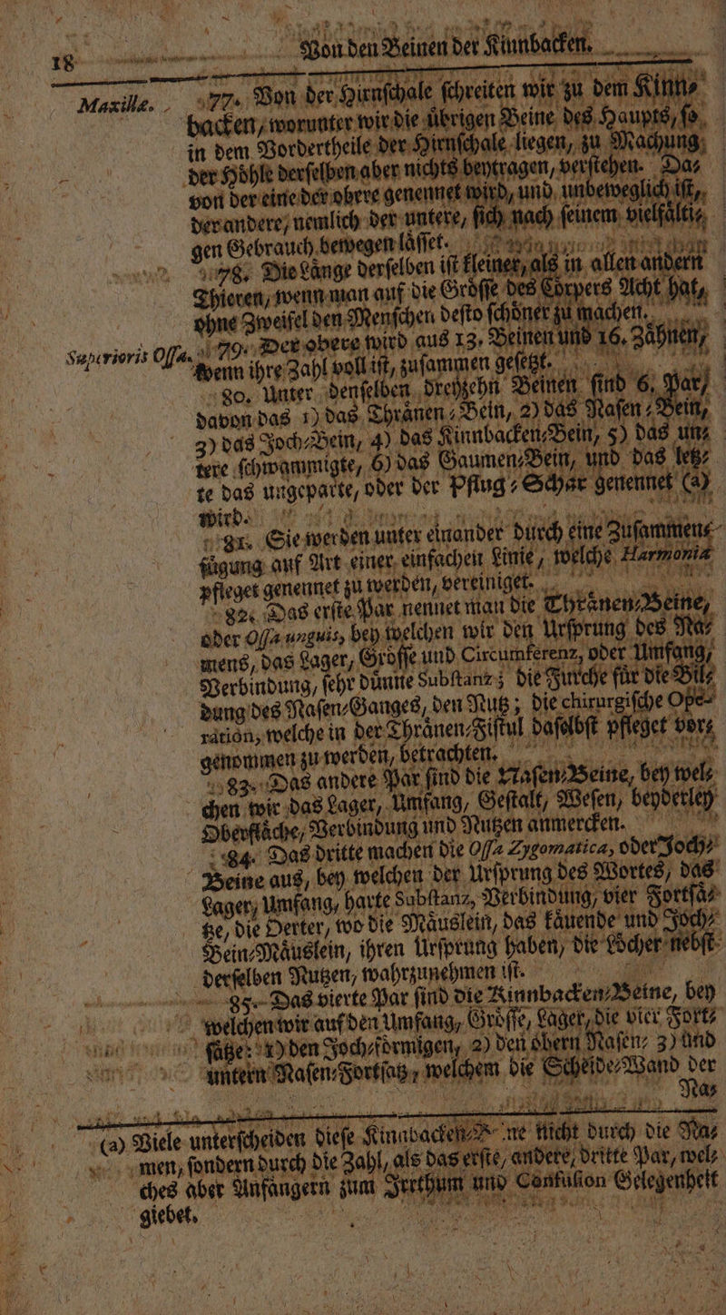 * * ö * *. Br } R ö ü 18 * D ah me ha he en Ban ern Malle. a Ta in 7 ale ſchre e übrigen Bei | in dem derer Yan ale lieg | aun de ane r eser ED, und deren der andere nemlich an ee en nach feinem gen Gebrauch, beivegenlället., AR layer Ai 275. Die Länge dale iſt kleiner, als in allen a Thieren, wenn man auf die Gröͤſſe des Cörpere Medien den Menſchen de Sapıriori af ee dere a Daus 13, 2 anne ao va en geſetzt. 80. Unter d ent e B Beinen davon das 5) das hre in, 2)d . Joch⸗ Bein, 4) das ee das un N dee ſchwammi te, 6). das g Sch und das 1055 | x te ungepa 100 oder der Pflug: S ar tterinek ER wird 8 5 3 781. Sie werden uufer auen durch e fügung auf Art einer einfachen Linie, „ a ii 6 pfieges genen zu werden, vereiniget. Fe N 82. Das erſte Par a e die Thrane oder Oyfa unguis bey welchen w ir den Urſprut 3 mens, das Lager, 510 e und Circumferenz, oder Verbindung, ſehr duͤnne Subſtanz z die Furche für die Bil dung des Naſen⸗Ganges, den Nutz; die ch u argifche ( ration, welche in der T . ſtul 0 bſt pfleget 5 genommen aumerbei, DE etracht 2 83˙ Das De ) ar find d 85 wir das Lager, Um ee 05 7 2 19 Ver 555 ind 9 ame. m ui, a eh) Bi 59 00 = 0 . ' en ee BE vier ser E Bode Sec obern I dern de ke een et ae d ic 1 7 die He „ — 3 2 a „ 55 Viele f en. Kich % men, ſondern durch! die Zahl, 1 ande e dritte Par, wel cdbees aber e 955 Jerthuf ir ug 30 4 . giebeh | | 7 5 8 en ER, 18. a a 2 \ 15 a N 1 a N % 0