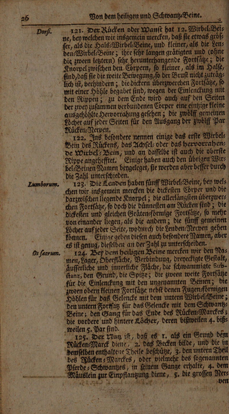 * * | Von dem 1 lch iſt, verhindern; die dickern über ef: ae fe d, Bein des Rückens, da a hervorrahen⸗ de Wirbel ein, und an daſſelbe iſt ich bi be | Lumborum, 123. Die Lenden haben fünff Wirbel Veine, bey wel Diickeſten und gleichen Graͤten⸗ förmige Fortſätze, fo mehr REIN et * em Schwantz⸗ | N72 N ar 0 8 > 728. RE 3 7 15 . weilen Kücken, Mar ag es r. als ein Grund den Le ure dene 2, dar dare ber ut bie in demſelben enthaltene Theile beſchügze, 3. den untern Theil des Rücken- Marckes, oder vielmehr des fogenannten Pferde Schwantzes in (einem Gange erhalte, 4. dem in zur Einpflangung diene „. die groſſen Ner⸗ ae eee eee eee a br - a 7 1 1 * 6 1 ) EEE GR 4 „ ee e Bir, „ 15 72 Bi e * ö t