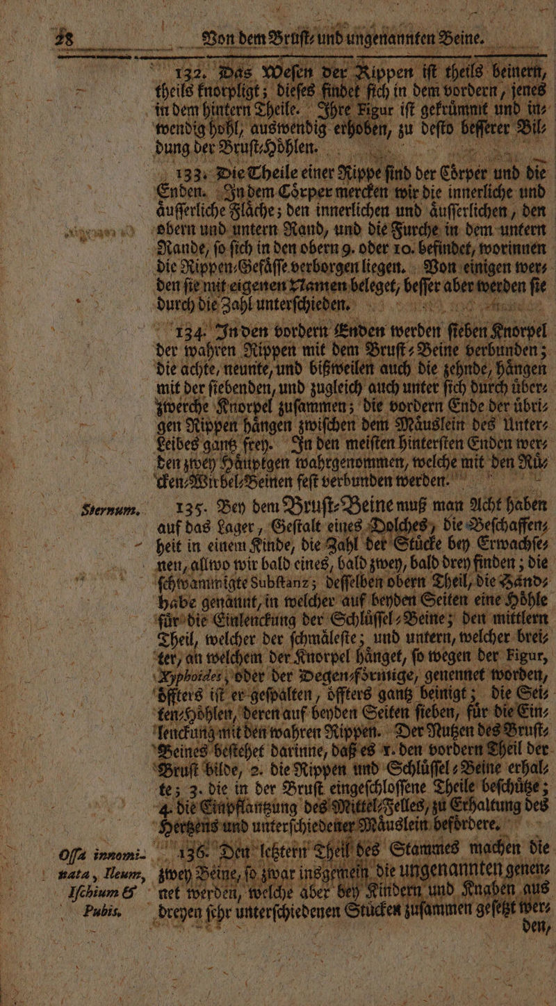 w 1 1 Son nben nbnrmen2un_ “ 3 133, Die heile einer Wipe ſud 99 Chen rper und die Enden. Zub em Coͤrper mercken wir die innerliche Ab iche; den 1 und aͤuſſerlichen, den obern und untern Rand, und die Furche in dem untern den ſie mit eigenen Nan Ben Sefrea er wer cken⸗Wirbel⸗ Beinen feſt verbunden werden. 135. Bey dem Bruſt⸗Beine muß man Acht 9254 auf das Lager, Geſtalt eines Dolches die Beſchaffen heit in einem Kinde, die Zahl t en uͤcke bey Erwachſe⸗ Pubis, Ge habe aunt, in welche auf beyden Seiten eine Höhle für bie cl leuckung der 6 den mittlern Br wacher der fömätet und untern, welcher brei⸗ ah we Ichem der Knorpel bange, ſo wegen der kigur, er der Degen foͤrmige, E worden, en iſt er geſpalten, offters gantz beinigt; die Sei⸗ ten⸗Hoͤhlen, deren auf beyden Seiten eben, fuͤr 7 1 Aeuckuns mit den wahren R Rippen. eee des Br Beines beſtehet darinne, daß es n Dh x Brui bilde, 5 9 5 ee = 13 Abe in der Bru 1 oſſene Thei 5