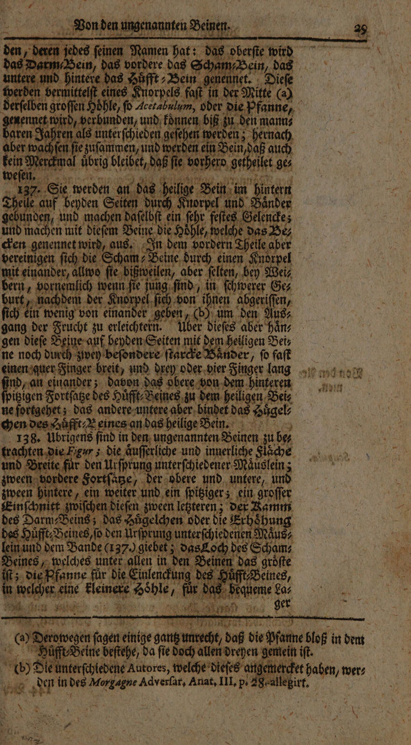 offen Hohl 10 eee der die Pfanne, bird, verbunden, und konnen biß zu MR r 0 10 ee n geſe en wer 51 8 e ir kein M act mal 0 a Ai 105 ie vorherd g ‚get den, a eine die Höhle, welche das He, net wir bin Sn, dem 0 se, aber en fic ‚die Scham + Beine durch einen K nd pl allwo ſie biß Kan aber felten, bey Wei⸗ e ug find. i 1 0 Ge⸗ ‚geh 1% b m de Sans: 9 5 e zu ke 5 ber dieſes a f 1 gen dieſe 2 auf beyden Seiten mi dem heiligen Heiz ne noch durch due beſondere ſtarch Baͤnder, ſo faſt inger breit, und drey oder vier Finger lang 1 ee ee 0 ortſa ed Huͤfft⸗Beines zu dem h en Bei⸗ fortgehet; das andere untere aber bindet das ai ne &amp; eines an das heilige Bein. 138. Übrigens ſind in W e een eh zu 5 15 er hen dre ee die äuſſerliche und innerliche Flsche Breite fuͤr den Uiſprung unterſchiedener Maͤuslein; jivecn, borbere Sorkfäne, der obere und untere, un e inte In ide eit r und ein 1 in le er di ert 55 Loch bes Nah 1 0 Bene ines, n Bun int 0 | RT indes rs We 55 geallegirt,