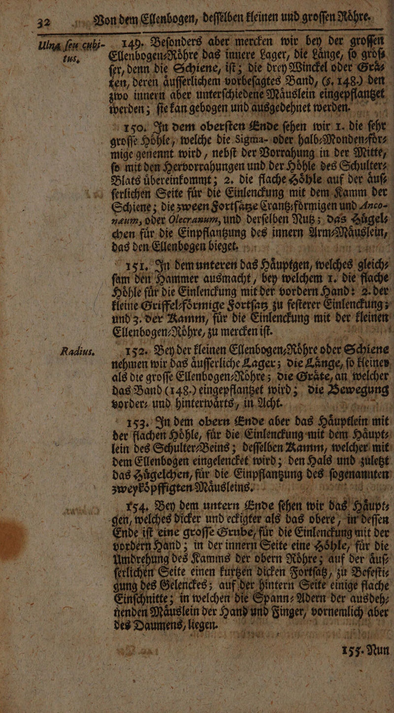 | grofe Bewer die Sigma- oder halb⸗Mon en för mige genennt wird, nebſt der Vorrahm in der Nitte, ſo mit den Hervorrahungen und der Höhle des Schulter⸗ Blats uͤbereinkommt; 2, die flache Höhle: au der auf Schiene; die zween Fortſaͤtze Cranßı förmigen und Anco- f ran „ Nutz; das Säge chen fuͤr die Einpflantzung des innern a Maͤuslein, N m den Ellenbogen bieget. En, e 5 151. In dem unteren das gpg, wachs, lei | n Hammer ausmacht, bey welchem T. die fla Sie 115 die 1 8 95 mit der vordern. and: 2. der kleine Geiffeht oͤrmige Fortſatz zu feſterer zinlenckun⸗ ba und 3. der Namm, für die inlenckung mit der ki Ä Ellenbogen⸗Röhre, zu mercken iſt. “ a nehmen wir das äufferliche Lager; Die Länge, ſo klein als die groffe Ellenbogen Rohre; die Graͤte, A w das Band (148.) eingepflantzet en i 5 | und ene . 5 ak: ae 55 ww a ons e, für die Einlenckung ar lein 10 See 85 beſſlben de — dem Ellenbogen eingelencket wird; den 5 ee das Huͤgelchen, fuͤr ‚die Eiupſſanzung des fi og | a n Maͤusleins. 4. Bey dem untern Ende fehe n wir de ö0 8 Haͤ gen, N: es dicker und eckigter al a as Bi 55 8 Ende iſt eine groſſe Grube, für die Einlenckung u 5 Lordern Ha nd; in der innern eite eine Hohle, Anmmdrehung des Kamms der obern 1 an . es auf der Auf En einen kurtzen dicken Fortſatz J Befeſti⸗ ckes; auf der hintern Sei e einige flache 0 5 in welchen; e E Spann» Adern der ausdeh⸗ ind und e e abet F. 7 en, I 25 fa r e an. RESTE TEN en * — e