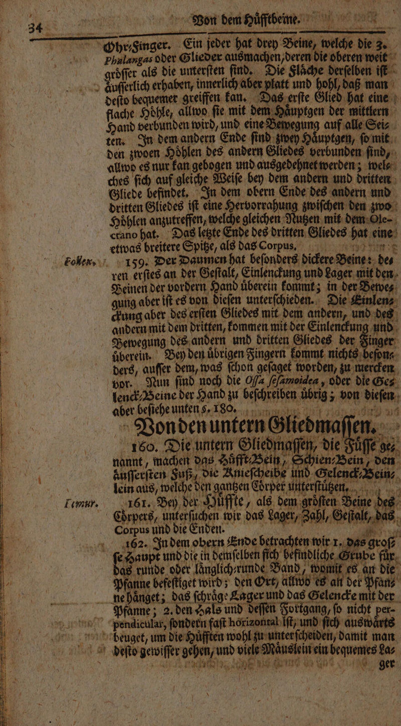 * erer — RN — — begann — Ohrs imger. Ein jeder hat drey ee welche die Ya ; Phalangas oder Glieder ausmachen, deren die oberen weit röſſer als die unterſten ſind. Die lache derſelben iſt Won ben cpöſſteng “ ni deſto bequemer greiffen kan. Das erſte Glied hat eine flache Höhle, allwo ſie mit dem Haͤuptgen der mittlern Hand verbunden wird, und eine B wegung auf alle Sei⸗ ten. In dem andern Ende ſind zwey Haͤuptgen, ſo mit den zwoen Hoͤhlen des andern Eiiebes verbunden ſind, allwo es nur ka we und ausgedehnet werden; wel⸗ ches ſich auf gleiche Weiſe bey dem andern und dritten Gliede befindet. In dem obern Ende des andern und dritten Gliedes iſt eine Hervorrahung zwiſchen den zwo Hoͤhlen mürde welche gleichen Nutzen mit dem Ole⸗ crano hat. Das letzte Ende des dritten Gliedes bat eine etwas breitere Spitze, als das Corpus. 1 8 159. Der Daumen hat beſonders dickere Beine de⸗ ren erstes an der Geſtalt, Einlenckung und Lager mit den Beinen der vordern and überein kommt; in der Bewe⸗ ung aber iſt es von dieſen unterſchieden. Die Einlen: ckung aber des erſten Gliedes mit dem andern, und des Beweg ung des andern und dritten Gliedes der b überein. Bey den übrigen Fingern kommt nichts beſon⸗ ders, auffer dem, was ſchon geſaget worden, zu merc en vor. Nun find noch die 0 fe amore, oder die Ges lenck Beine der Hand zu 1 übrig; von aber en unten 725 Sa A e Pfanne; 2. den Hals und deſſen Fortgang, fo nicht per- pendicular, ſondern faſt i 05 und ſich auswärts beuget, um die Huͤfften wohl en, damit man 0 20 RN ee ine u El * M en n { ger