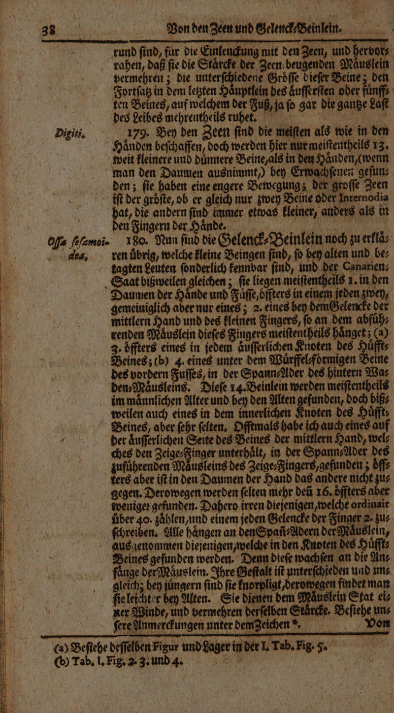 . Von den Zeen und GelenehBeinkeit. and find, für die Einfendung mut den Zeen, und herbe Digiu. Dffa Glanei. 130. Nun find die Gelenck⸗Beinlein noch zuerflä; dae, ren übrig, welche kleine Beingen find, fo ben alten und be;