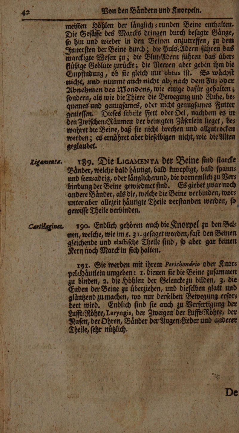 | RER, A u Won ben Bändern und Knorpel. | | — — — — — „ ET EEE 7 miaeeiſten Höhlen der laͤnglich- runden Beine enthalten. „ Die Gefälle des Marcks dringen durch beſagte Gänge, ſo hin und wieder in den Beinen anzutreffen, zu dem ER Innerſten der Beine durch; die Puls⸗Adern führen das 5 \ marckigte Weſen zu; die Blut⸗Adern führen das übers 3 fluͤßige Geblüte zurücke; die Nerven aber geben ihm die Enpfindung, ob fie gleich nur abtus iſt. Es wächſt nicht, und nimmt auch nicht ab, nach dem u⸗ oder Abnehmen des Mondens, wie einige dafür gehalten; ſondern, als wie die Thiere die Bewegung und Ruhe, be⸗ quemes und genugſames, oder nicht genugſames Futter genieſſen. Dieſes ſubeile Fett oder Oel, nachdem es in den Ztwiſchen⸗Raͤumen der beinigten Zaͤſerlein lieget, bes Je: | wahret die Beine, daß ſie nicht brechen und allzutrocken | 7 werden; es ernaͤhret aber dieſelbigen nicht, wie die Alten gesianber. Ligamenta.- 189. Die Licamenta der Beine find ſtarcke Baͤnder, welche bald haͤutigt, bald knorpligt, bald ſpann⸗ und ſeen⸗ adrig, oder laͤnglich⸗ rund, die vornemlich zu Ver⸗ bindung der Beine gewiedmet ſind. Es giebet zwar noch andere Baͤnder, als die, welche die Beine verbinden, wor⸗ unter aber allezeit haͤutigte Theile verſtanden werden, ſo gewiſſe Theile verbinden. Cereilzine. 190. Endlich gehören auch die Knorpel zu den Bei⸗ | 2.2... en, welche, wie im g. 3 1. geſaget worden, faſt den Beinen 4 A xteichende und elaftifche Theile find, fo aber gar keinen Fi Kern noch Marck in fihhalten n. . 191. Sie werden mit ihrem Perichondrio ober Knor⸗ 15 pel⸗Haͤutlein umgeben: 1. dienen ſie die Beine zuſammen
