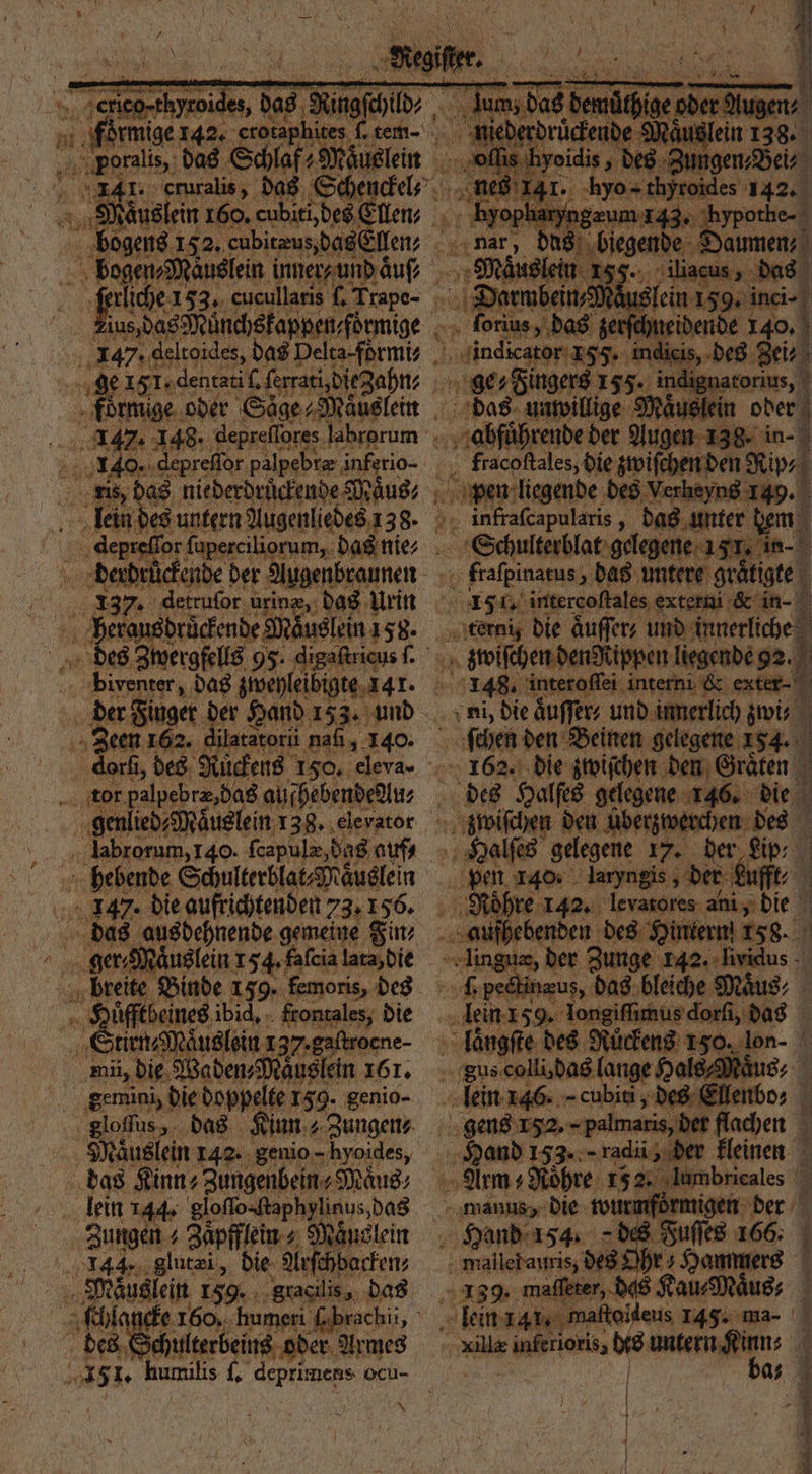 241. cruralis, das Schenckel⸗ 1 ius, das Münchskappen⸗formige e151. dentati . ferrari,diezahnts Er oder Säge Mauglein | 147. 148: ‚depreflores labrorum 140. depreſſor palpebtae i inferio- lein des untern Augenliedes 138. depr for ſuperciliorum, das nie⸗ derdrüͤckende der Augenbraunen 137. detruſor urinæ, das Urin e e gt 158. des Zwergfells 95. digaſtricus Re Zeen 162. dilatatorii naſi 140. . ‚dork, des Rückens 150. eleva- ee 138. ele vator labrorum, 140. ſcapulæ, das auf, hebende Schulterblat⸗Mäuslein 147. die aufrichtenden ' 73. 156. das ausdehnende gemeine Fin, geren 154, falcia lata die e Binde 159. femoris, des Huͤfftbeines ibid. frontales, die Stirn⸗ zaͤuslein 137.gaftrocne- mi, die Waden⸗Maͤuslein 161. gemini, die doppelte 159. genio- gloflus,. das das Kinn⸗Zungenbein⸗Maͤus⸗ lein 144. glofo-ftaphylinus, das Zungen + Zapffleins Mäuslein 144, glutæi, die Arſchbacken⸗ Mugen 159. gracilis, das ſchlancke 160, humeri ( brachii, be öchulterbeins oder Armes * he ann 3 Daumen — i 5 ö Gs eum rg, . biegende 1. 25 * 8 „ forius. 5 das 3 nr c e nei indicator 155. indie is, ge⸗Fingers 155. indig ‚abführende der Augen 138. in- fracoſtales, die zwiſchen den Nip, pen liegende des Verheyng 149. Schulterblat gelegene 15 T. in- | u frafpinatus, das untere graͤtigte HE 1. intercoſtales externi &amp; in- i terni die aͤuſſer⸗ und innerliche zwiſchen dengttppen liegende 92. 4 148. interoſſei interni &amp; exter- ni, die aͤuſſer⸗ und innerlich zwi⸗ ſchen den Beinen gelegene 184. 1562. die zwiſchen den Graͤten des Halſes gelegene 146. die zwiſchen den überzwerchen des Halſes gelegene 17. der ip: pen 140. laryngis, Br Lufft f Roͤhre 142. levasores ani, die dune des Hintern 158. 1 der Zunge 142. liridus . pectinæus, das bleiche Maͤus⸗ lein 259. Iongiſſimus dorſi, das laͤngſte des Ruͤckens 150. 55 Ä gus colli, das lange H 1 lein 146. cubiti, des Kendo, 1 gens 152. „palmaris, der flachen Hand 153. radii, der kleinen Arm s Röhre: 15 2. lumbricales 1 S * al manus, die son ormigen: der Hand 154. des Fuſſes 166. mallerauris, des r? Hammers 139. mafl ’ er, dels Kau⸗Maͤus⸗ “ lein 141. maftoideus 145. ma- illæ into, a bes untern . Ä a: 1 1